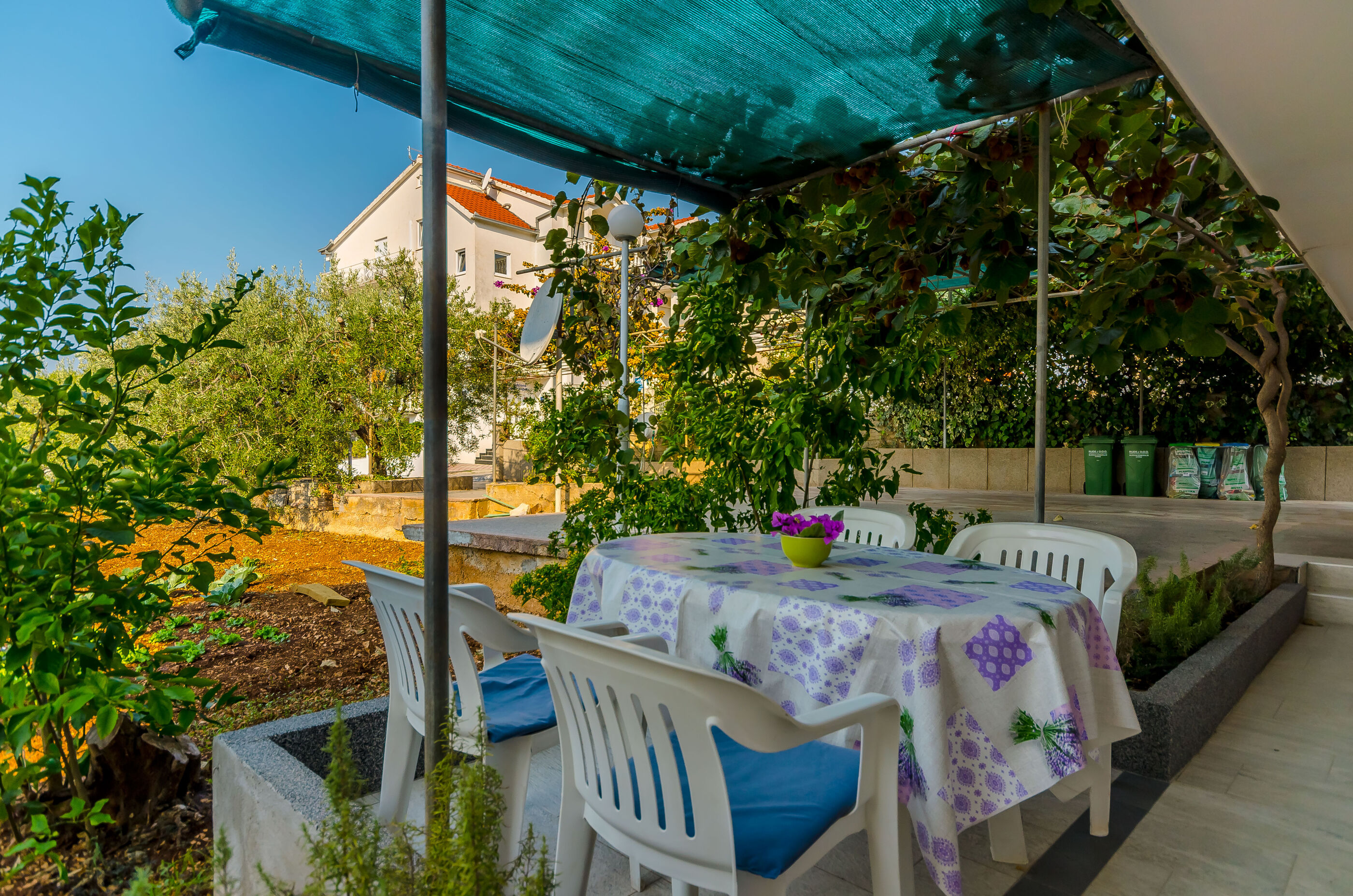 Apartments Maslina 16231-A4