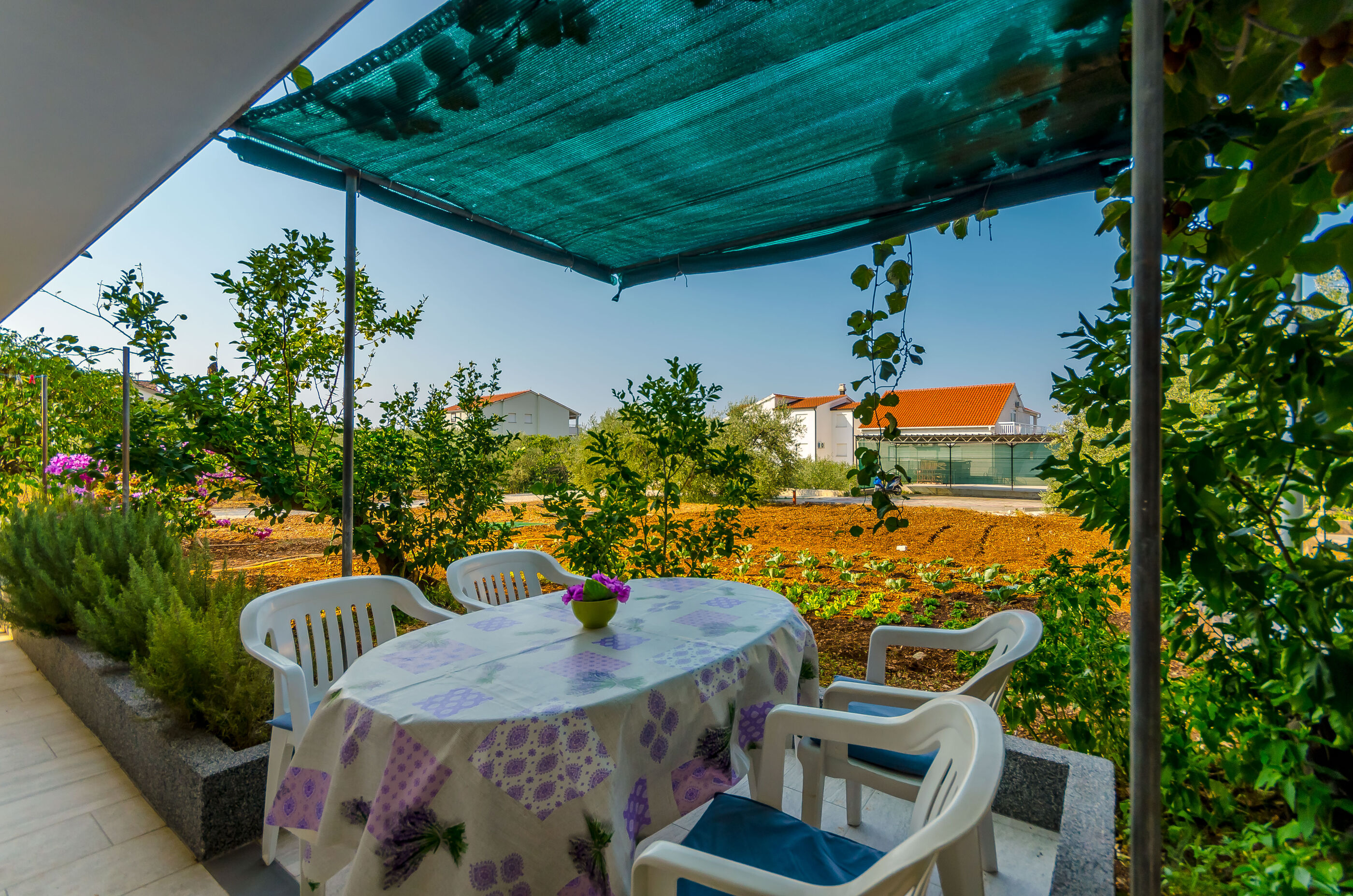 Apartments Maslina 16231-A4