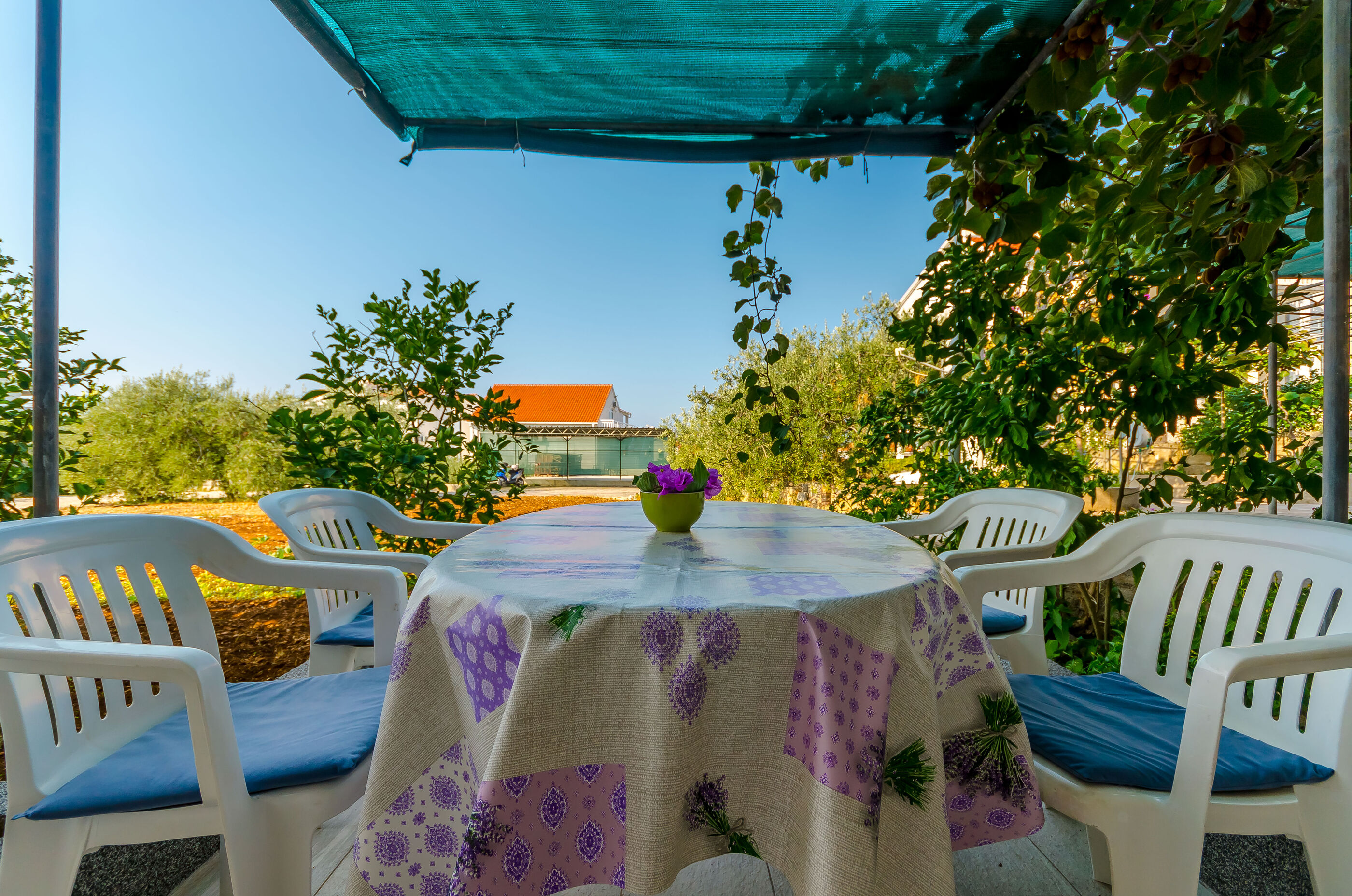 Apartments Maslina 16231-A4