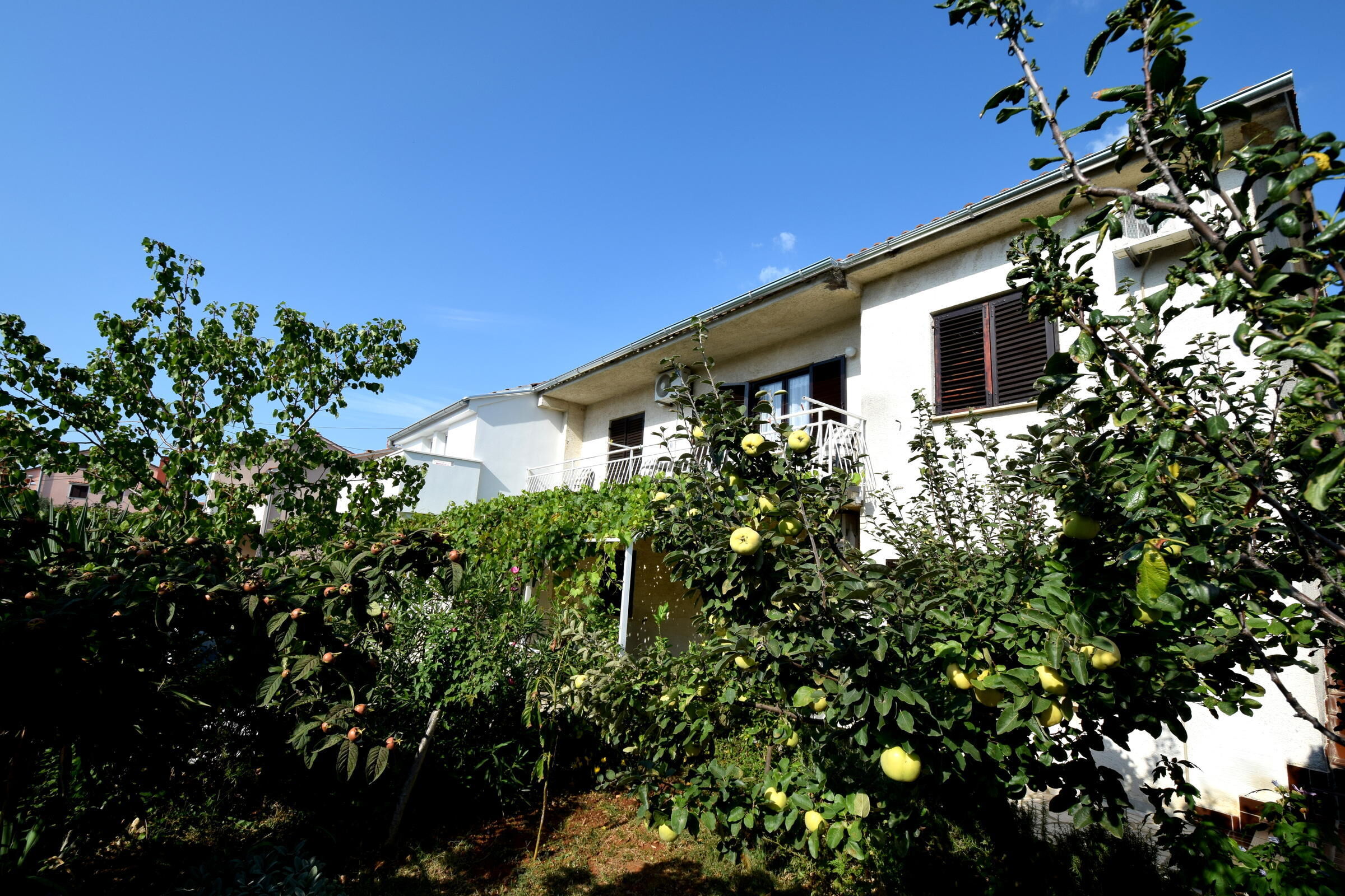 Apartments and Room Blažević 62031-A2