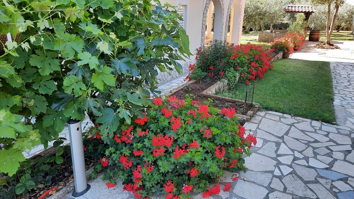 House Ivonne 73714-A2