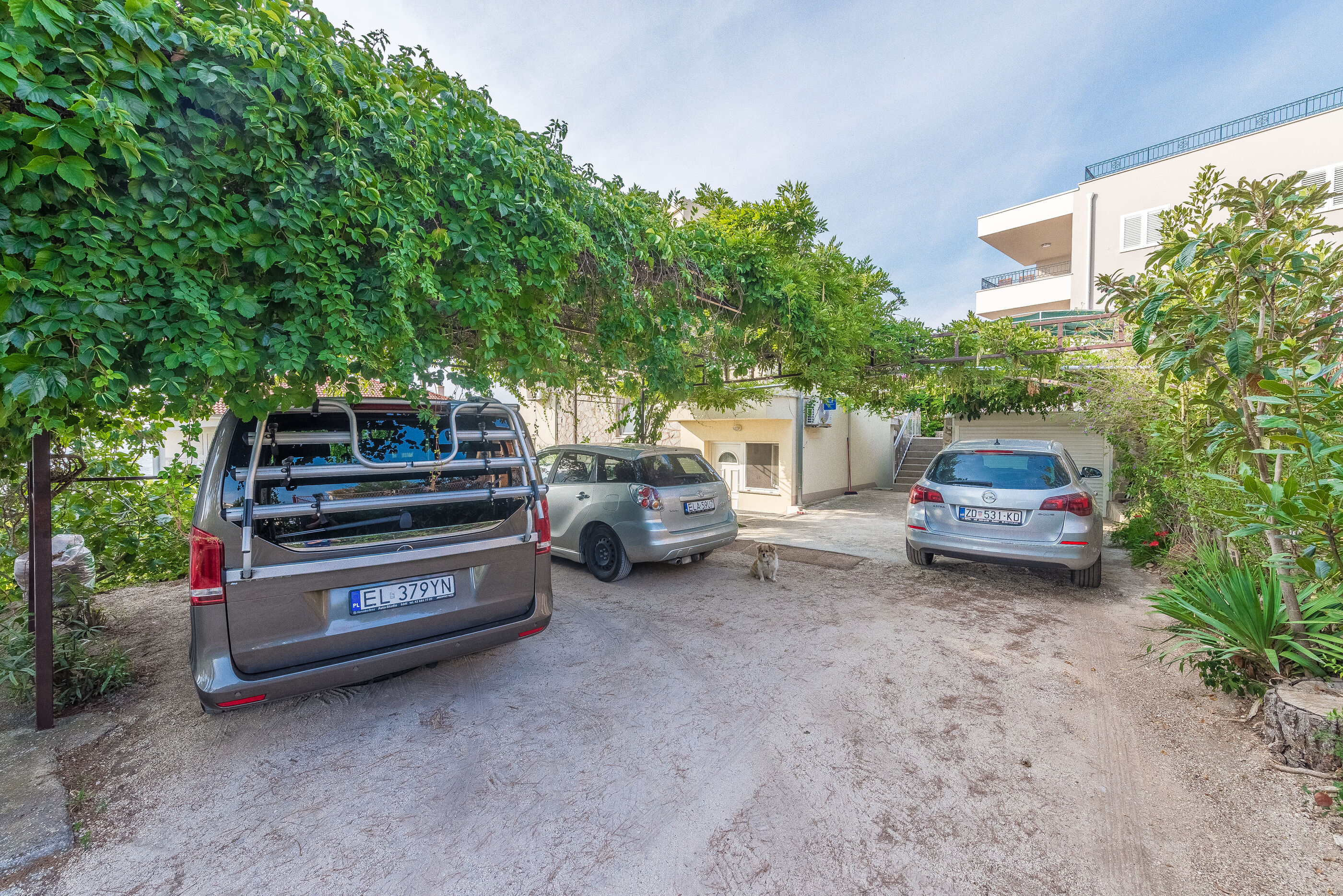Apartments Branko 38631-A1