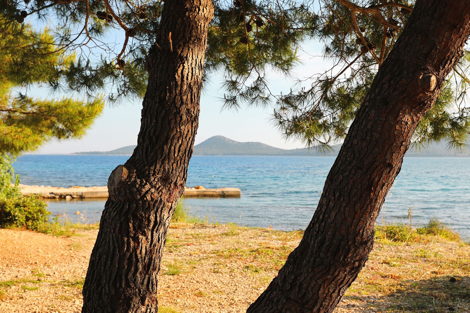 Photo of Mobile home Smaragd