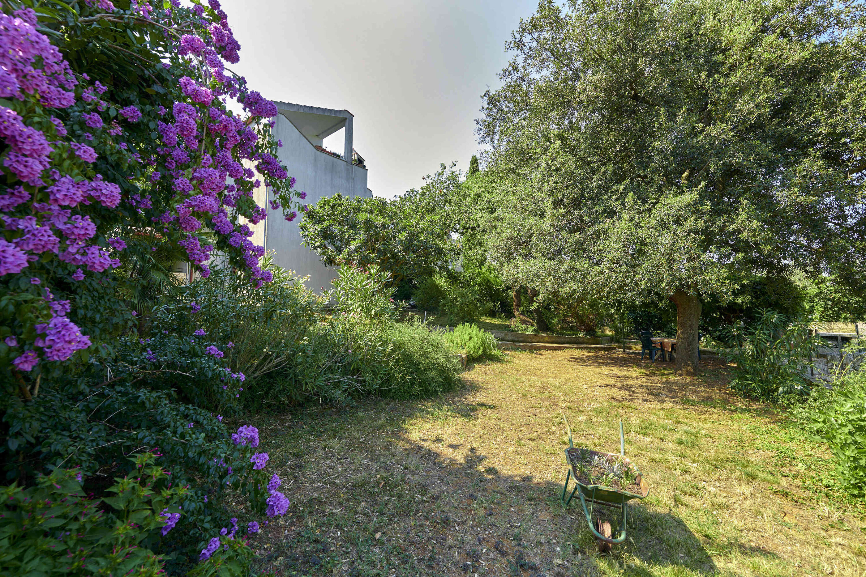Apartments Davorka 71751-A1