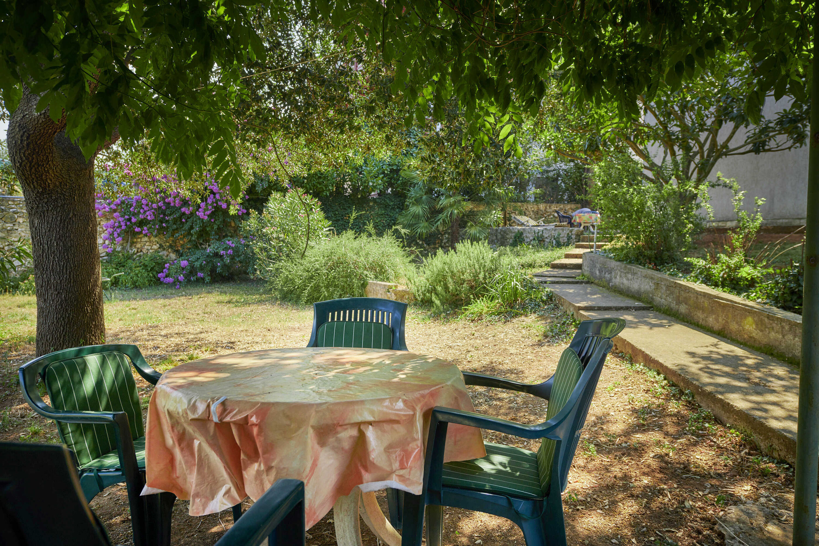 Apartments Davorka 71751-A1