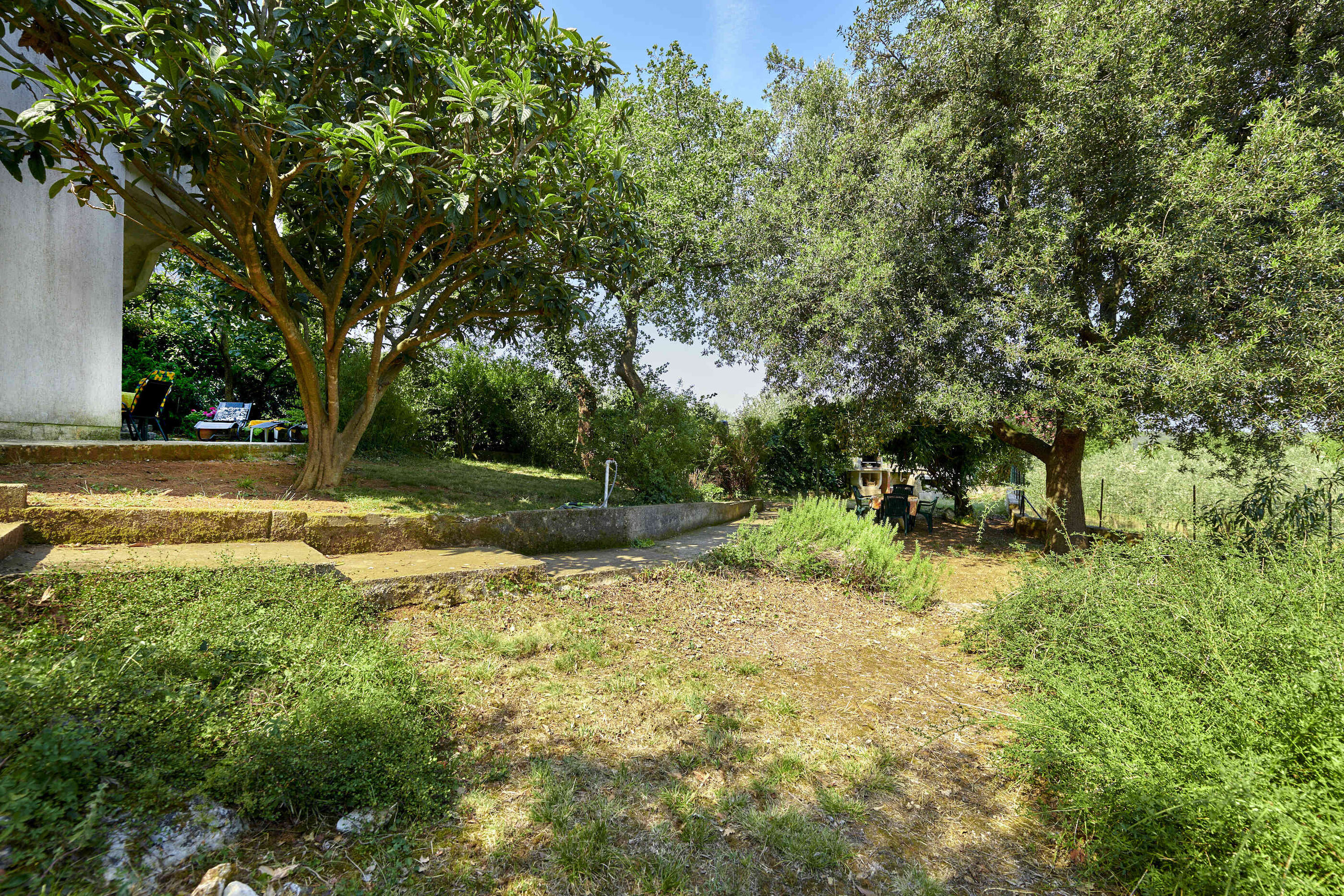 Apartments Davorka 71751-A1