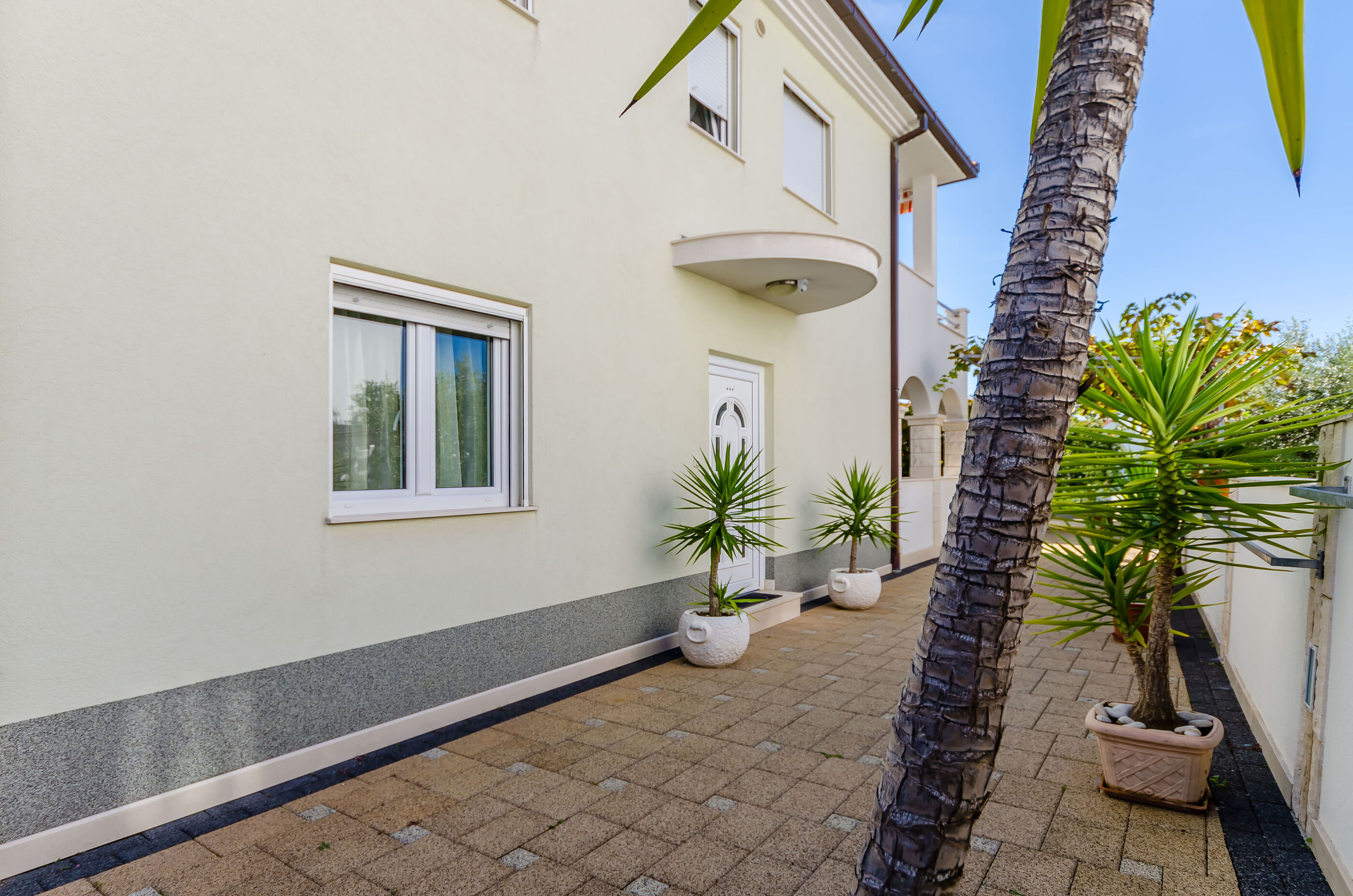 Apartments Palm tree 77811-A1