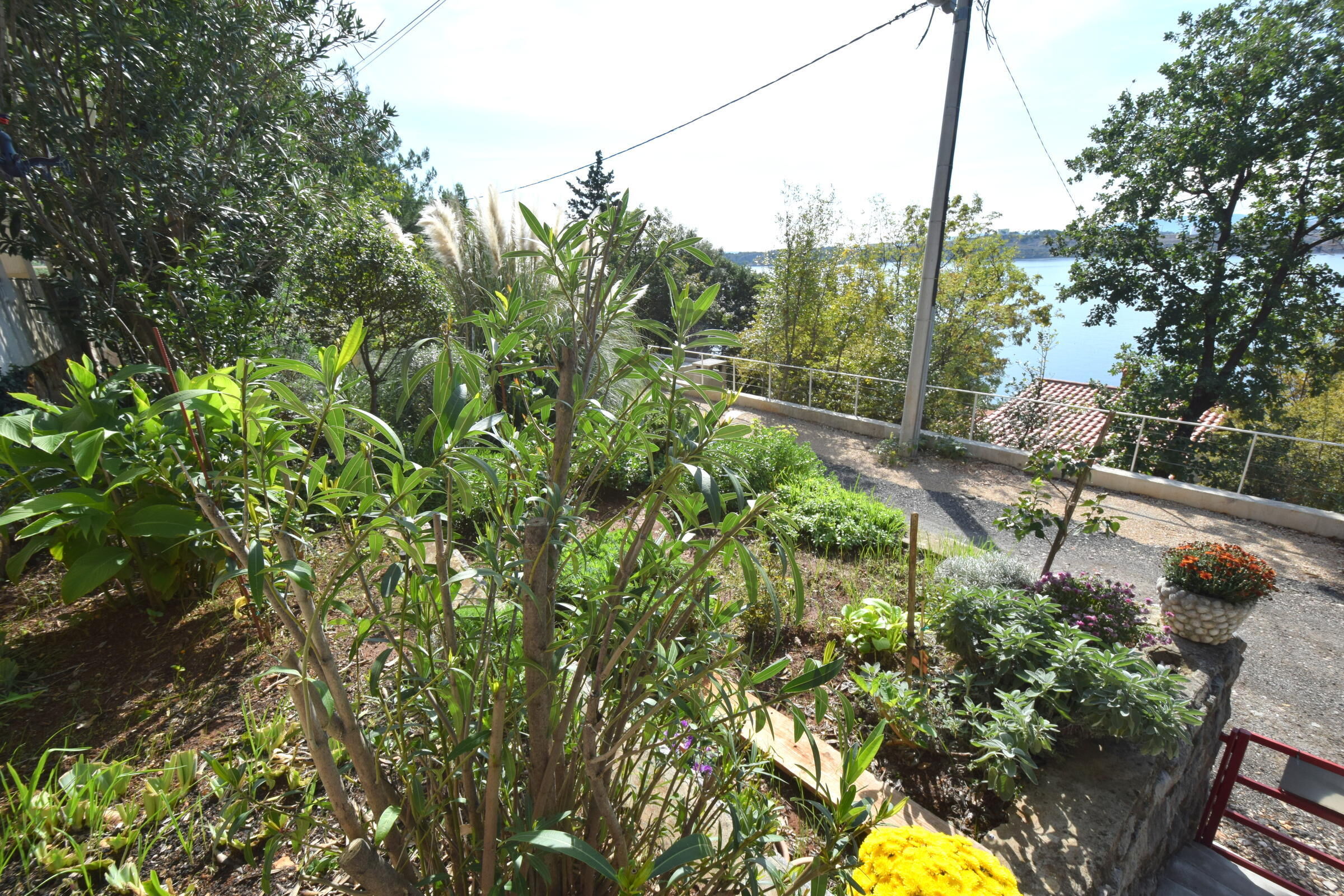 Apartment Cvenkica 62254-A1