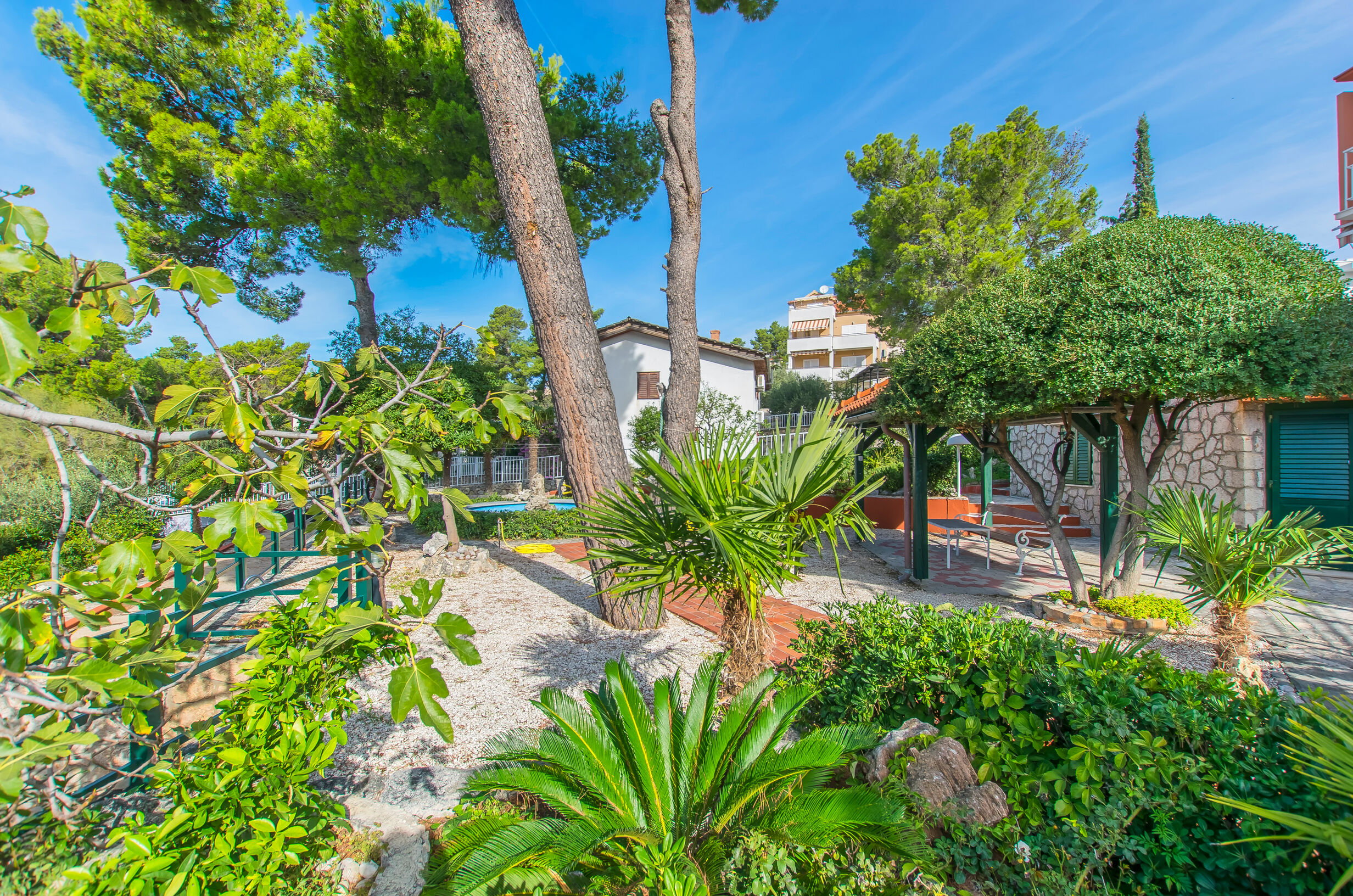 Apartment and Rooms Franka 79351-A2