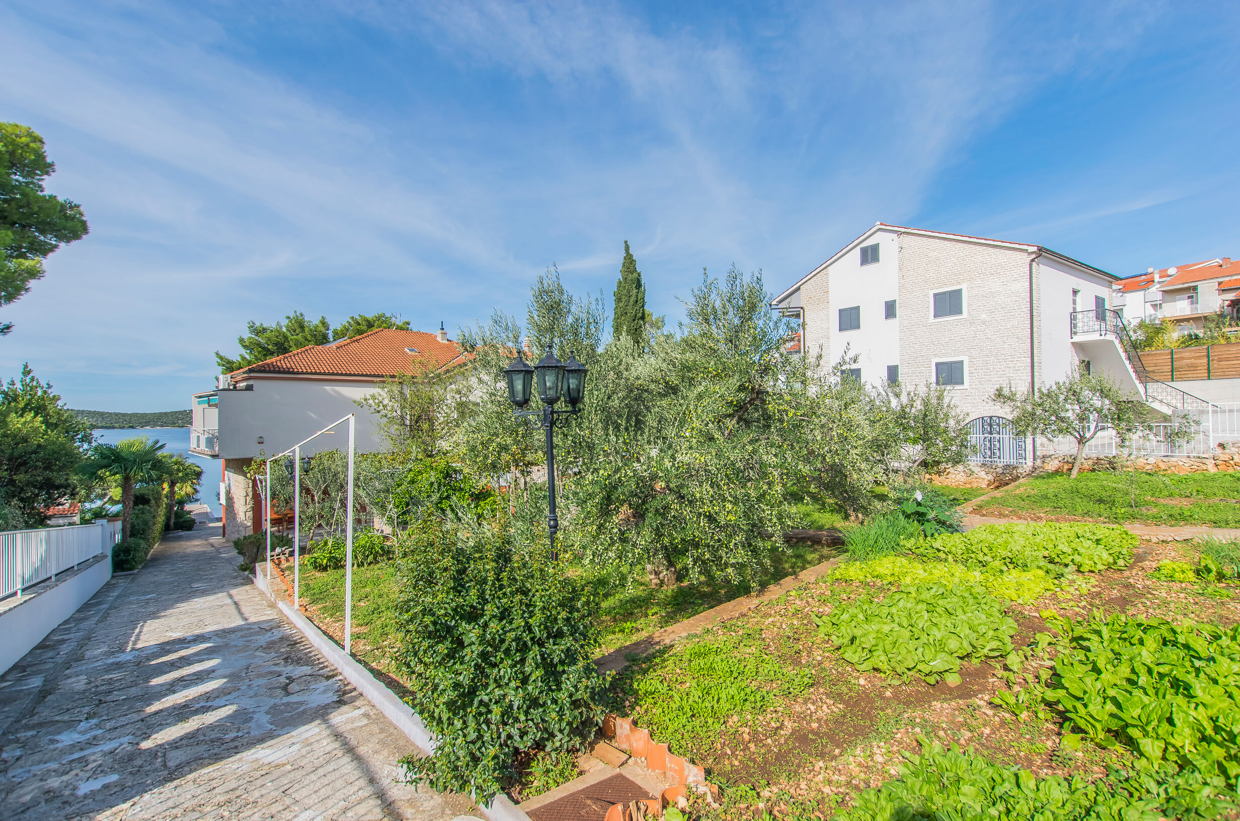 Apartment and Rooms Franka 79351-A2