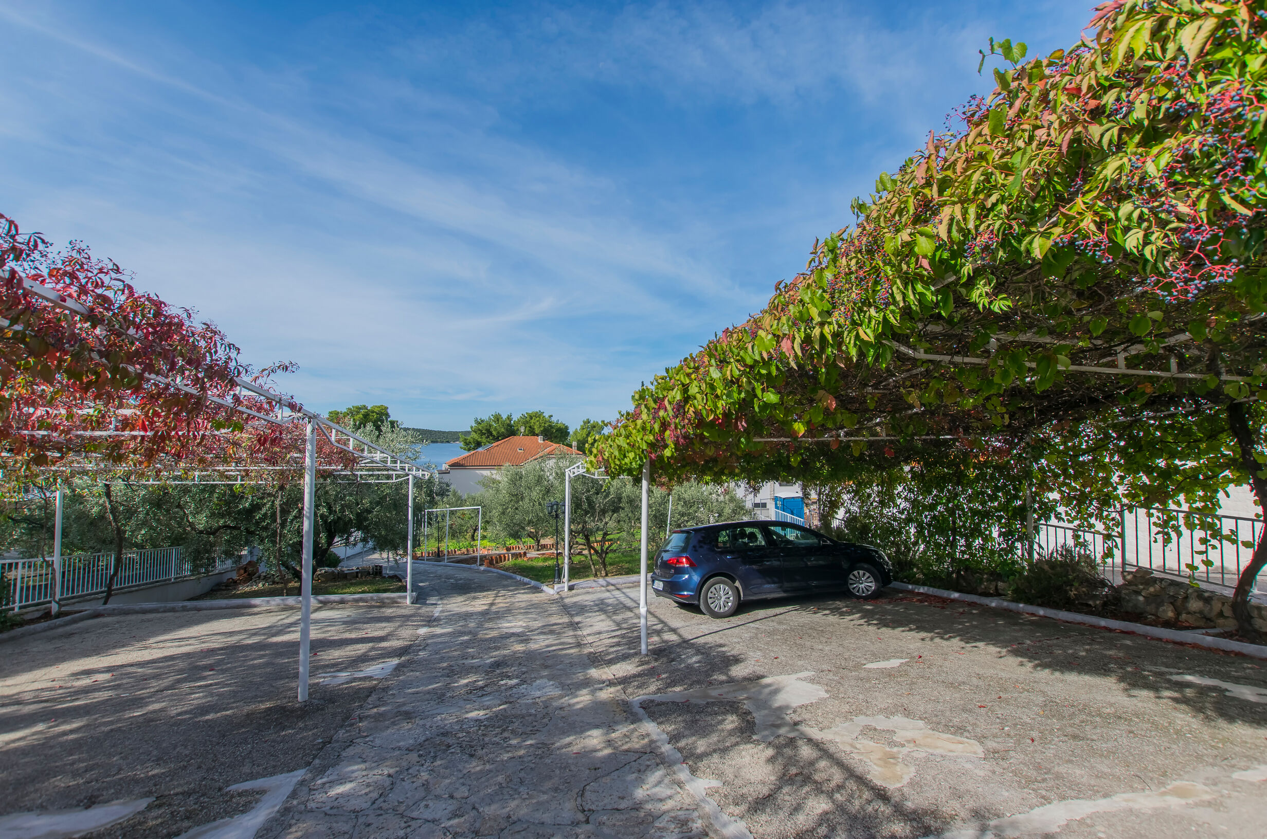 Apartment and Rooms Franka 79351-A2