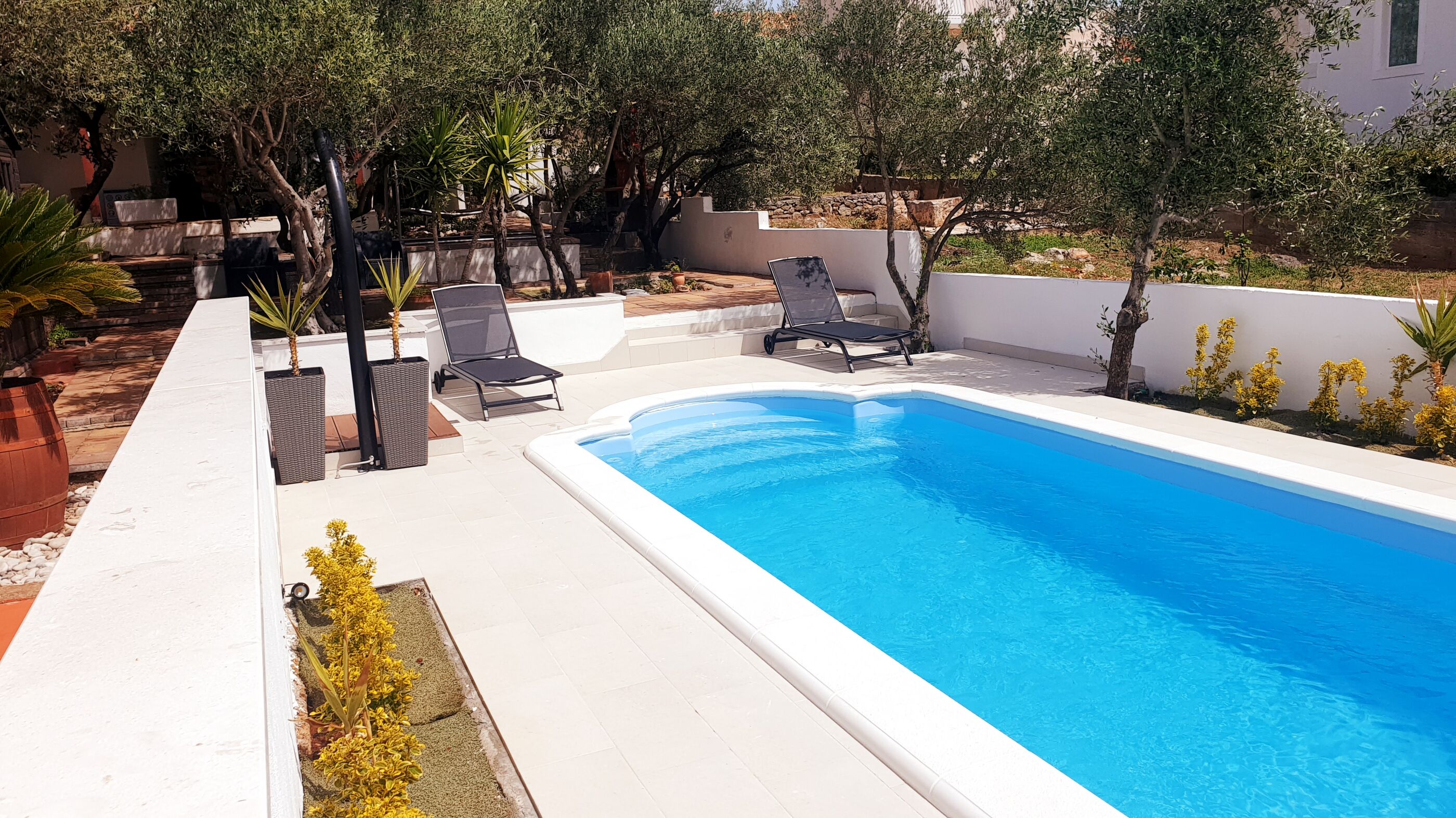 House Oliva 94016-K1