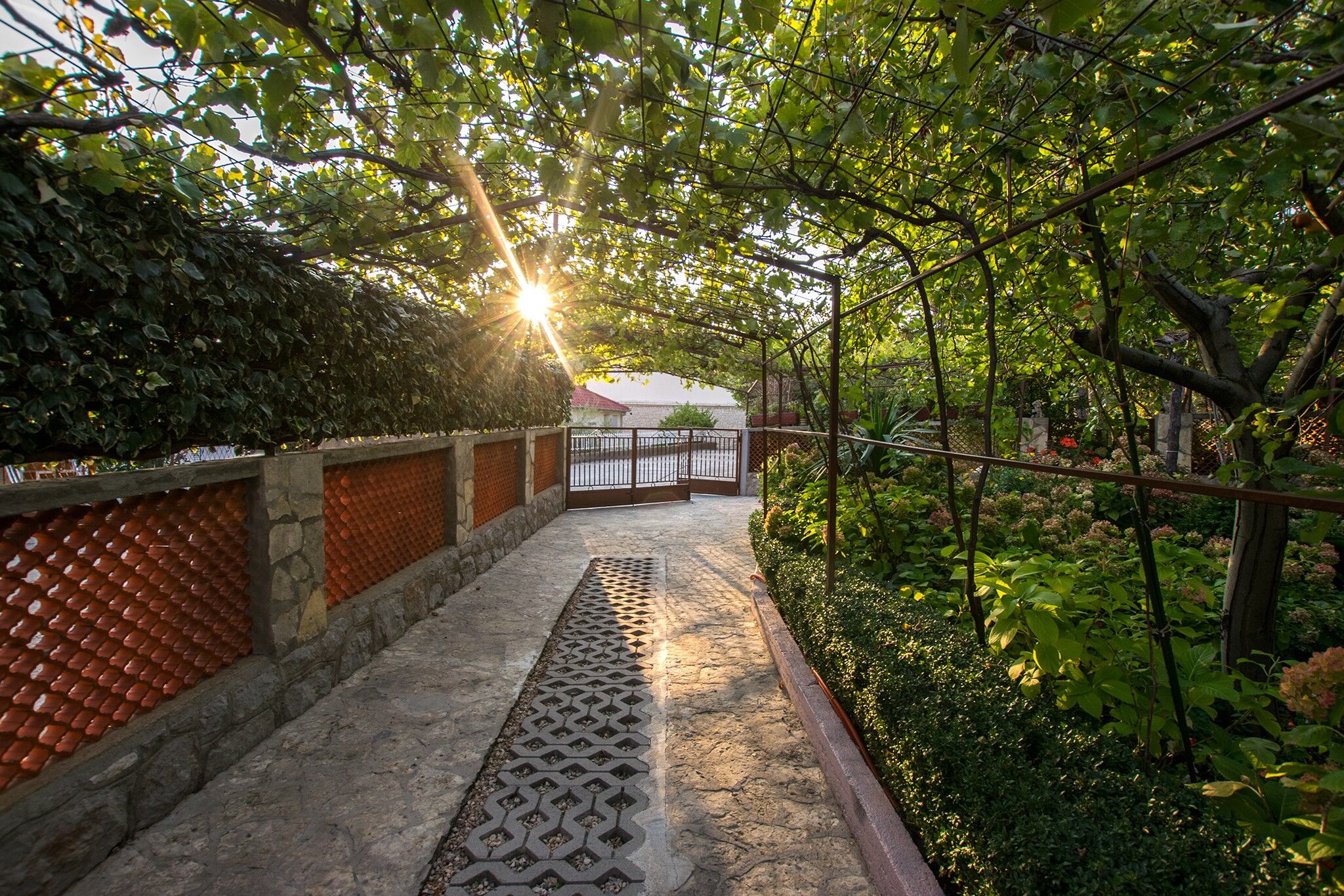 Apartments Pavlina 79846-A5