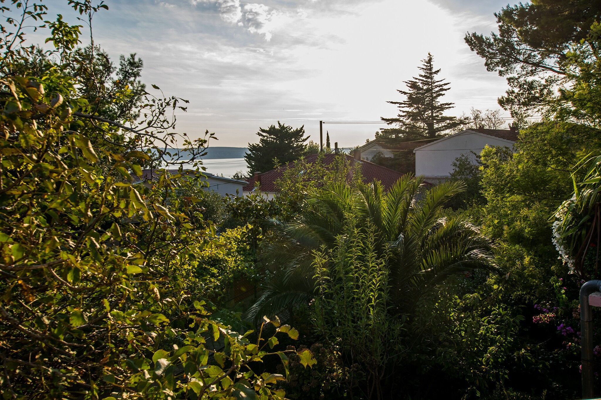 Apartments Pavlina 79846-A2