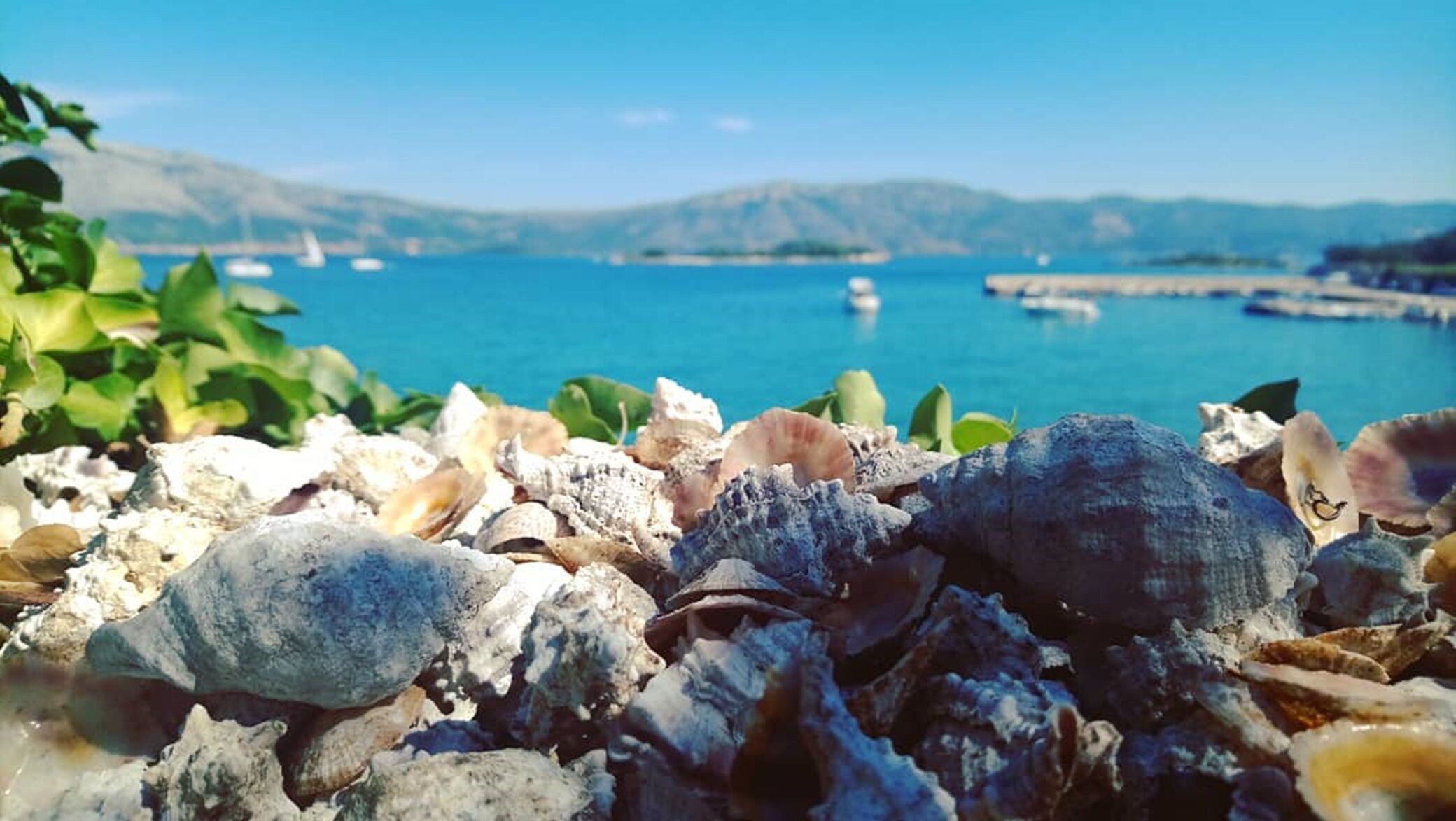 Photo of Apartment and Room Silvana