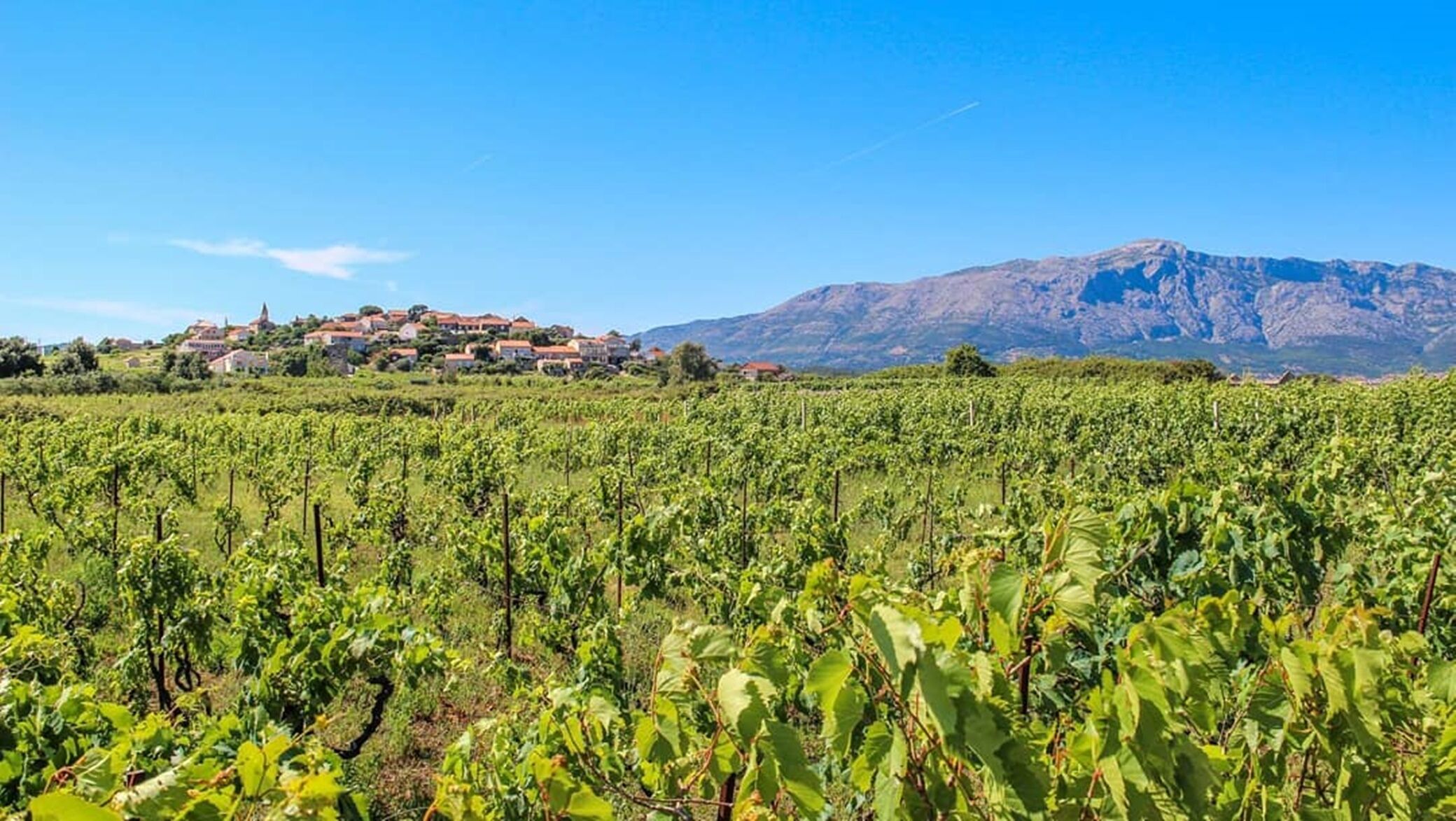 Photo of Apartment and Room Silvana