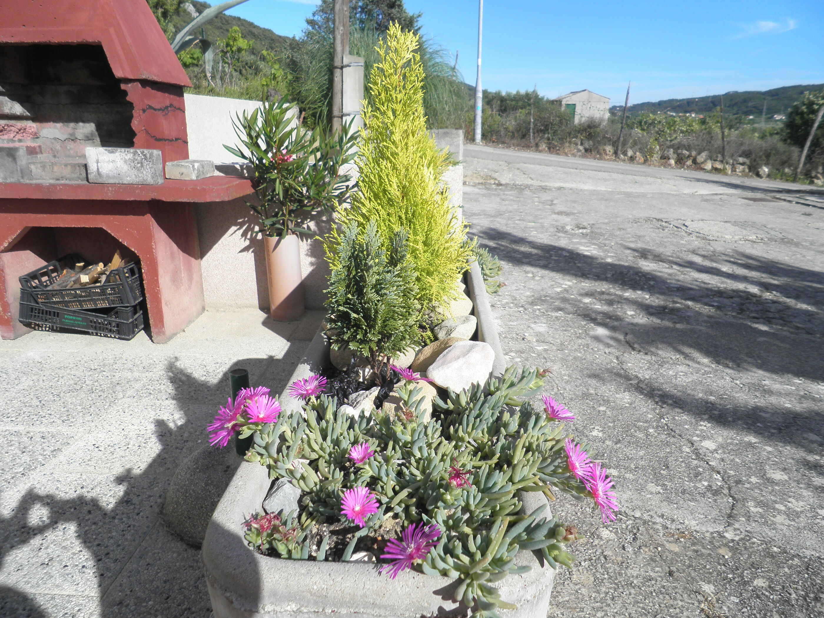 Photo of Apartments Vesna