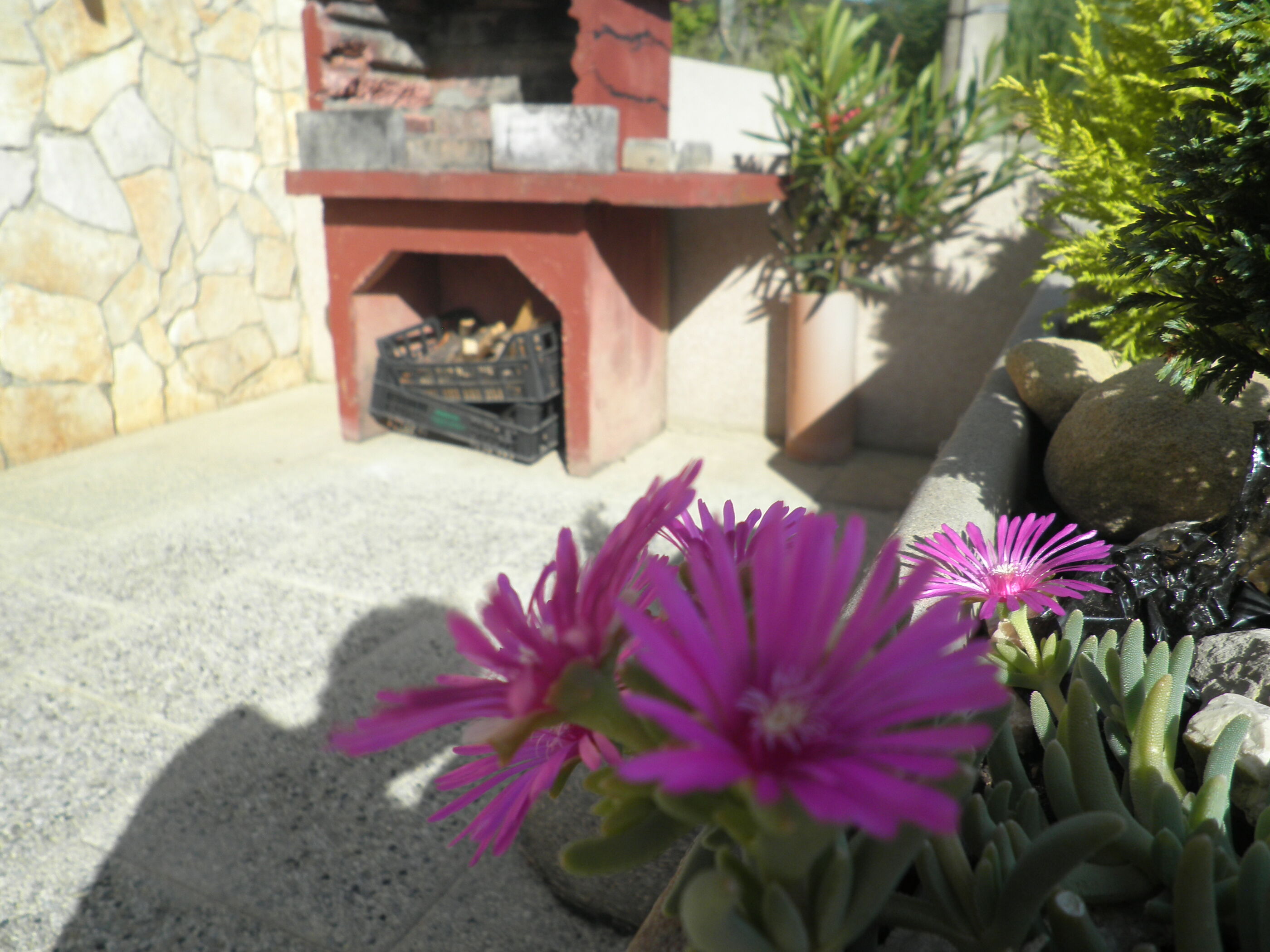 Photo of Apartments Vesna