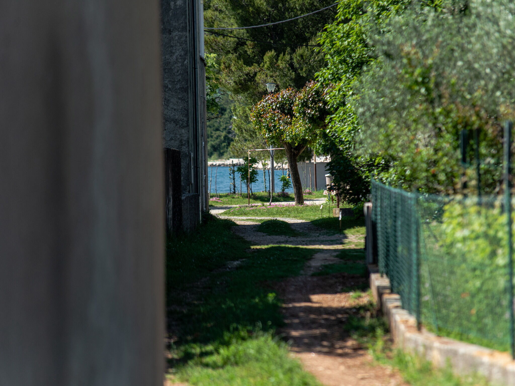 Apartments Fortuna 79849-A1