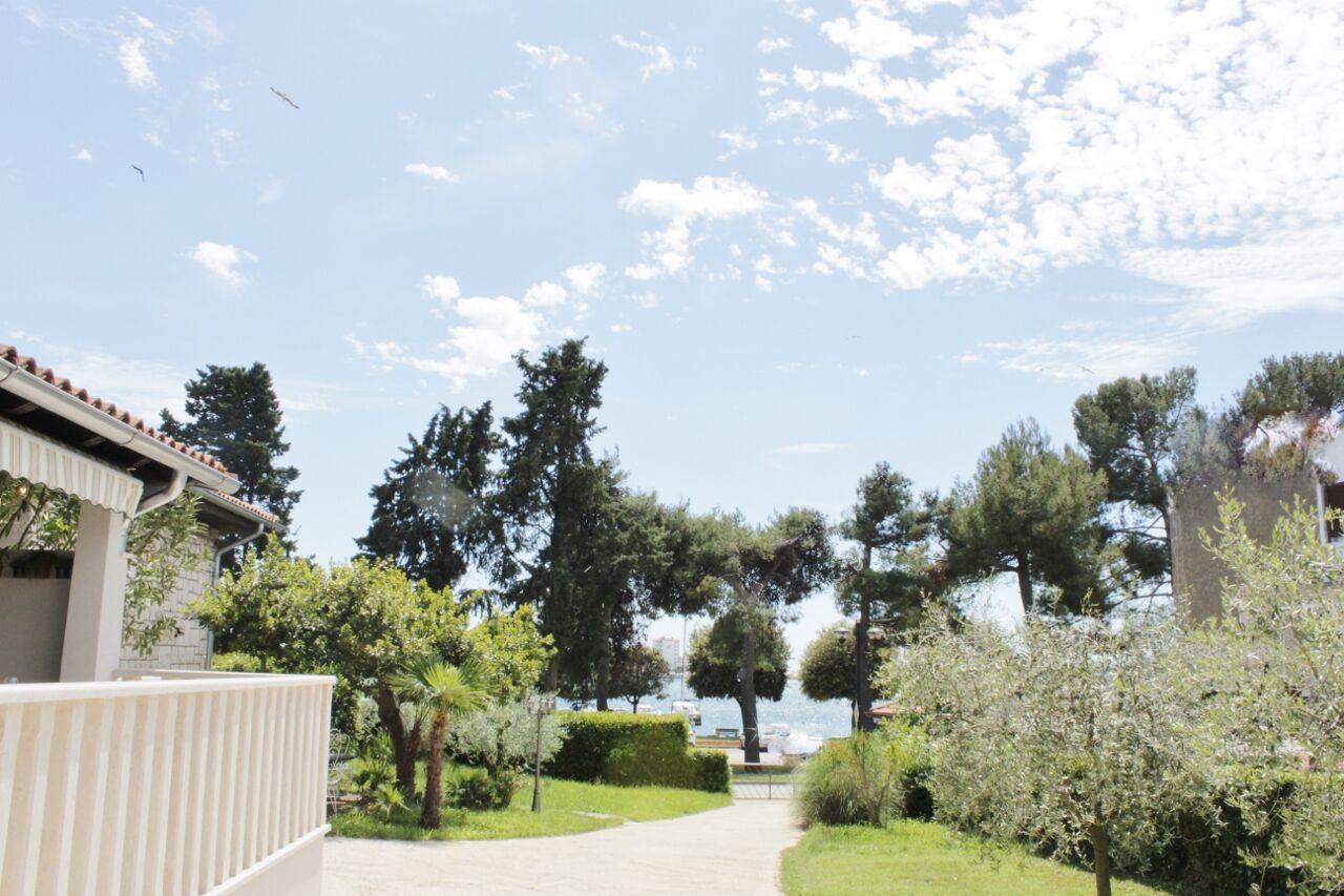 House PUNTA II 17483-K1