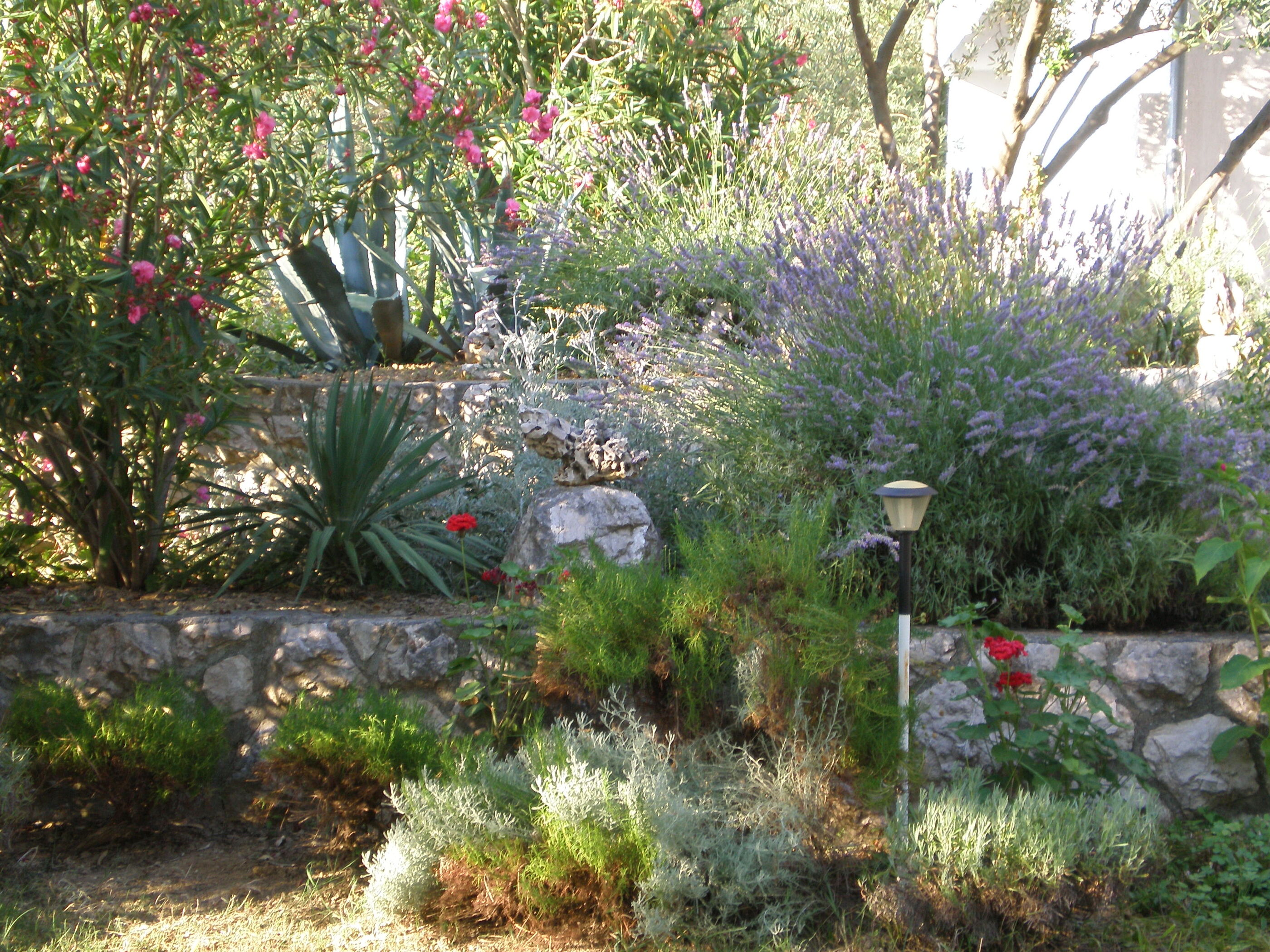 Photo of Apartments Zorka