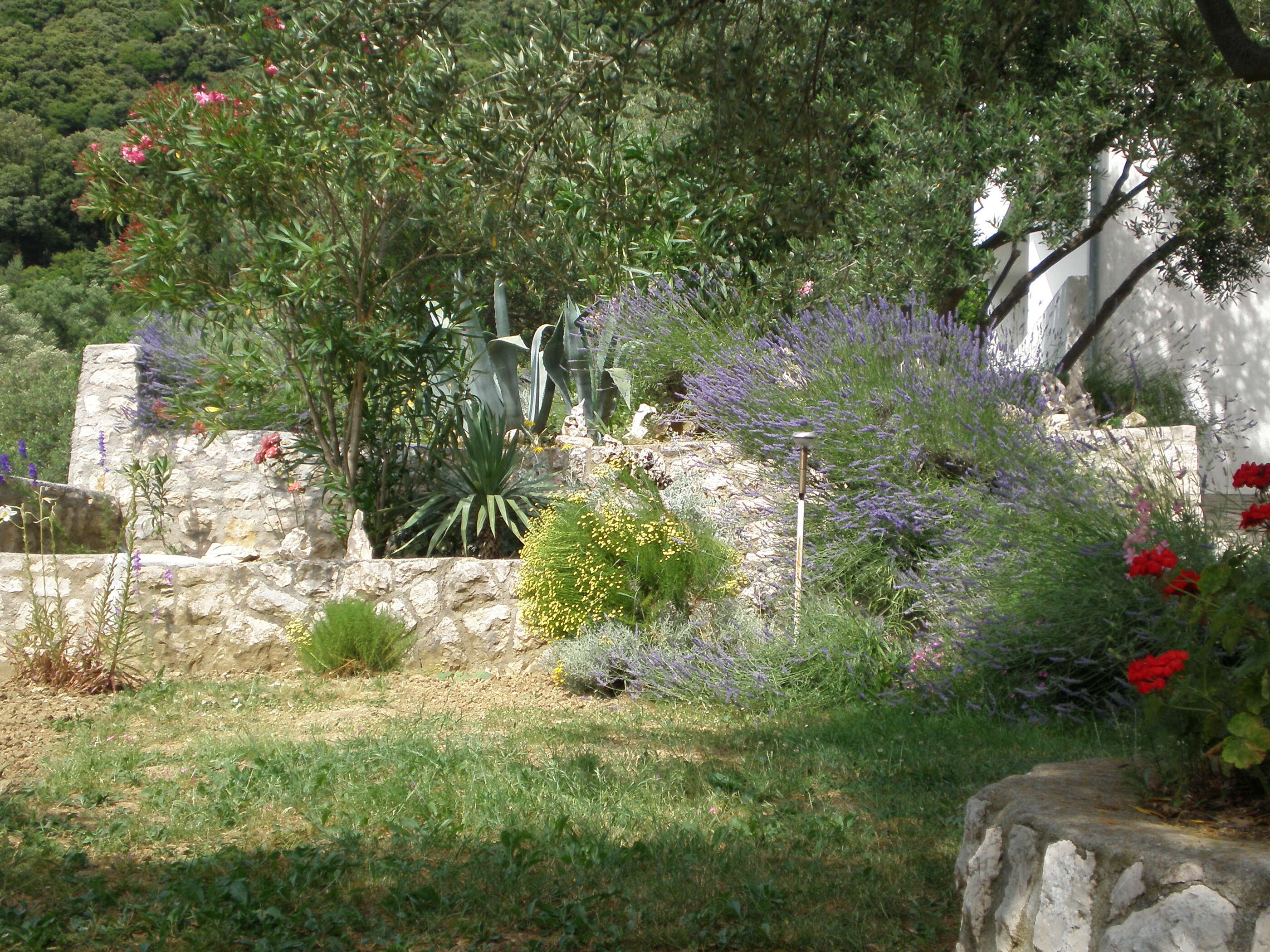 Photo of Apartments Zorka