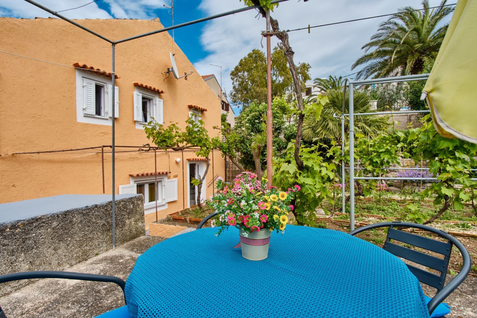 House LINA 64426-K1