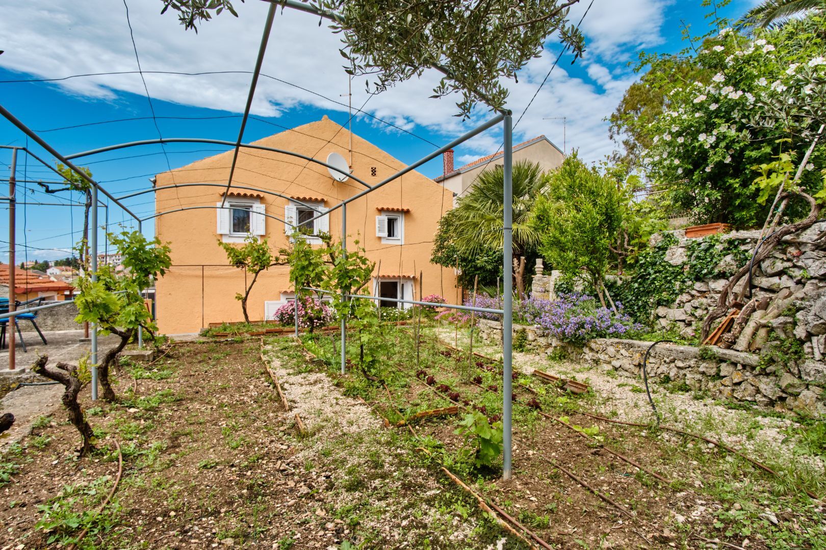 House LINA 64426-K1