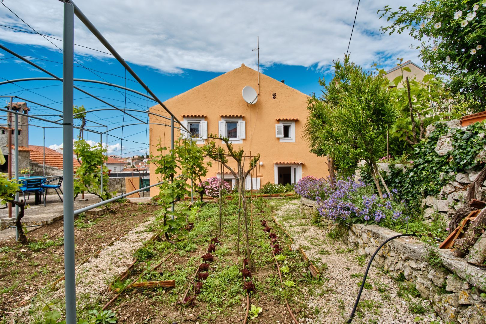 House LINA 64426-K1