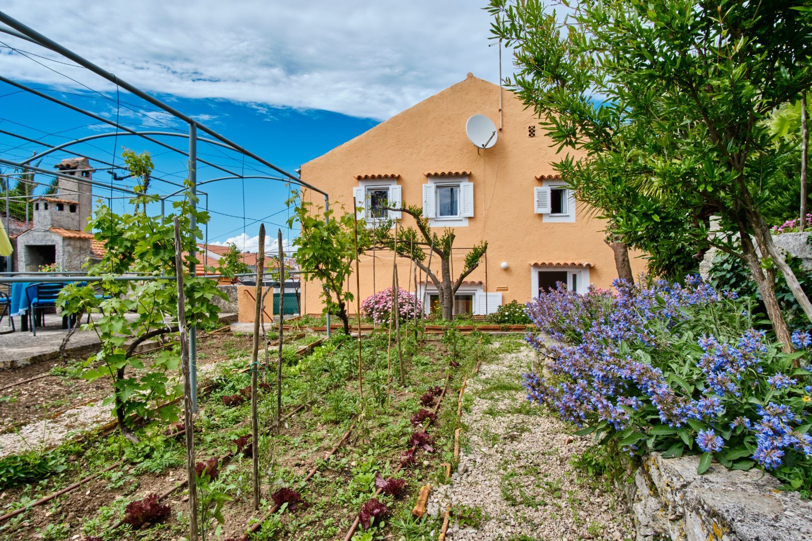 House LINA 64426-K1