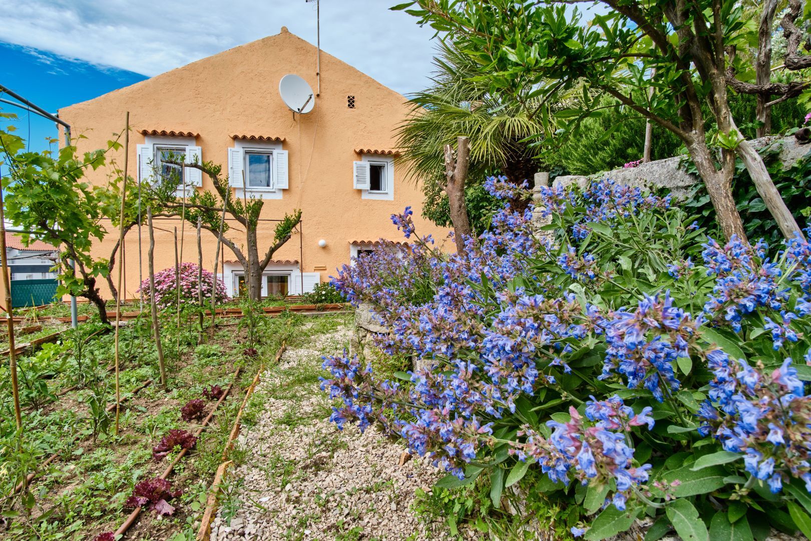 House LINA 64426-K1