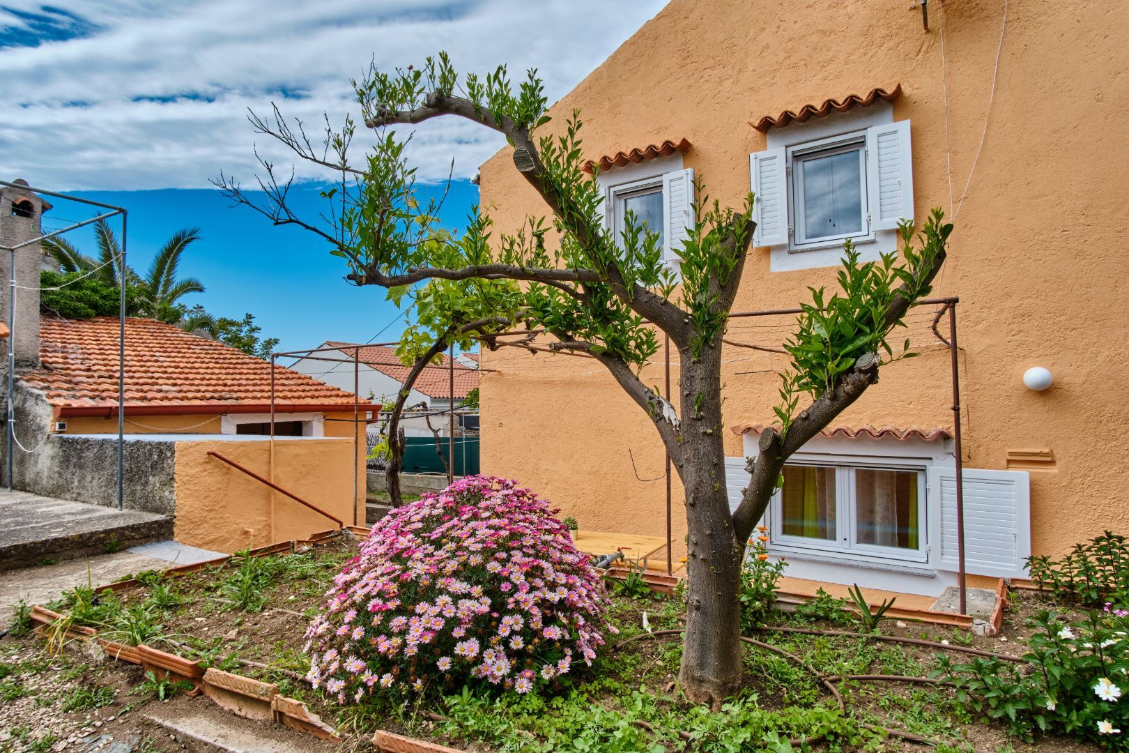 House LINA 64426-K1