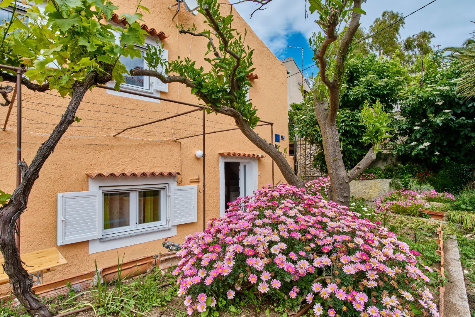 House LINA 64426-K1