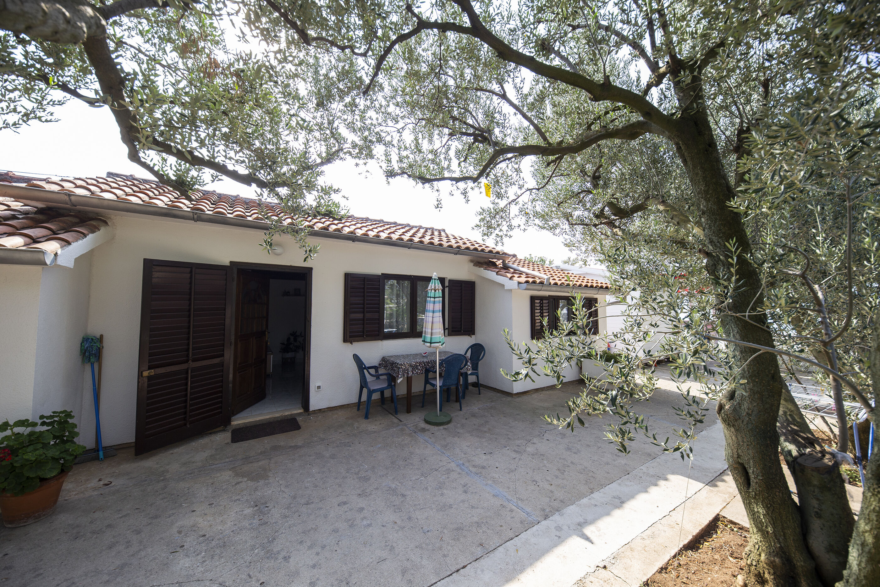 Apartment Maslina 13852-A1