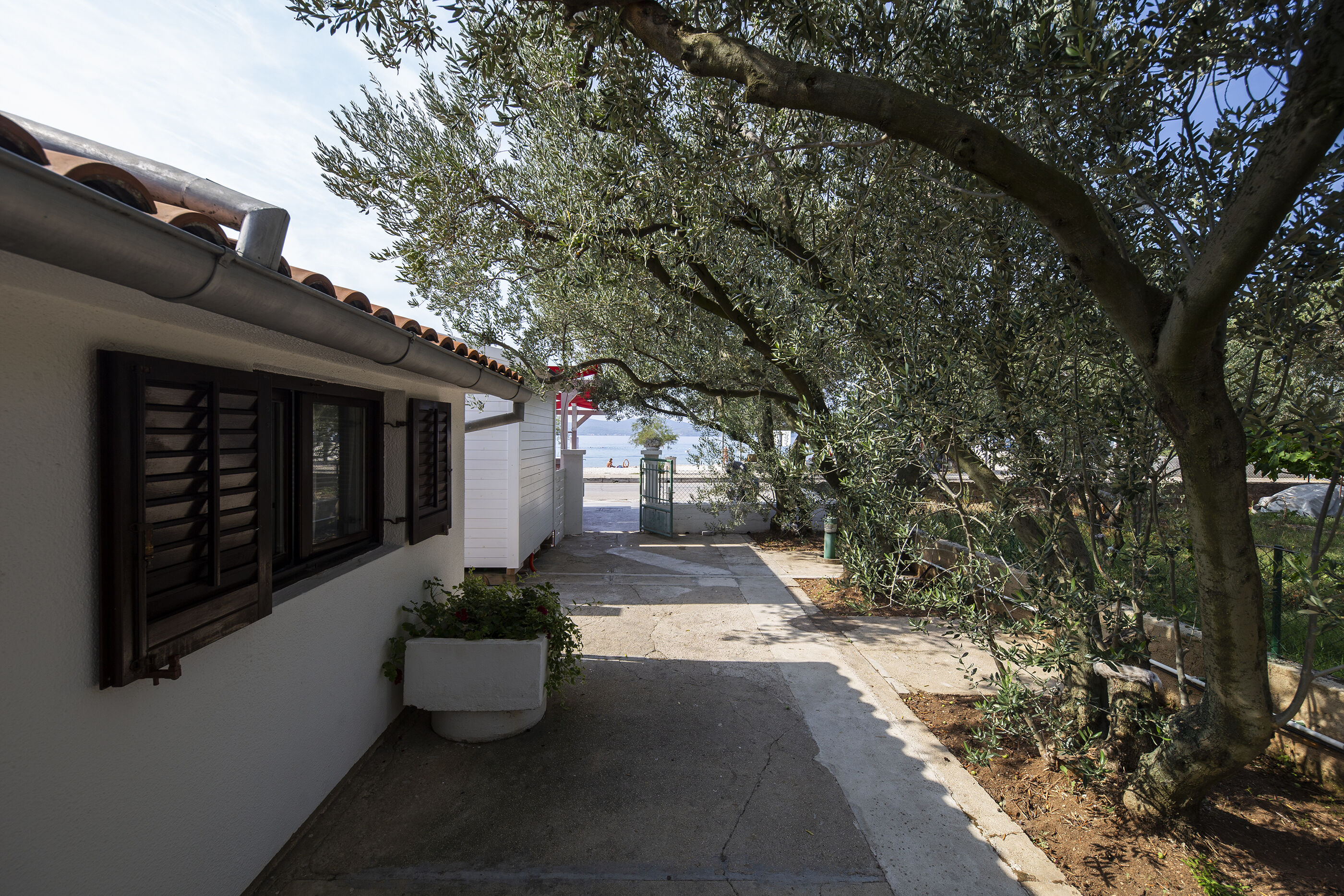 Apartment Maslina 13852-A1