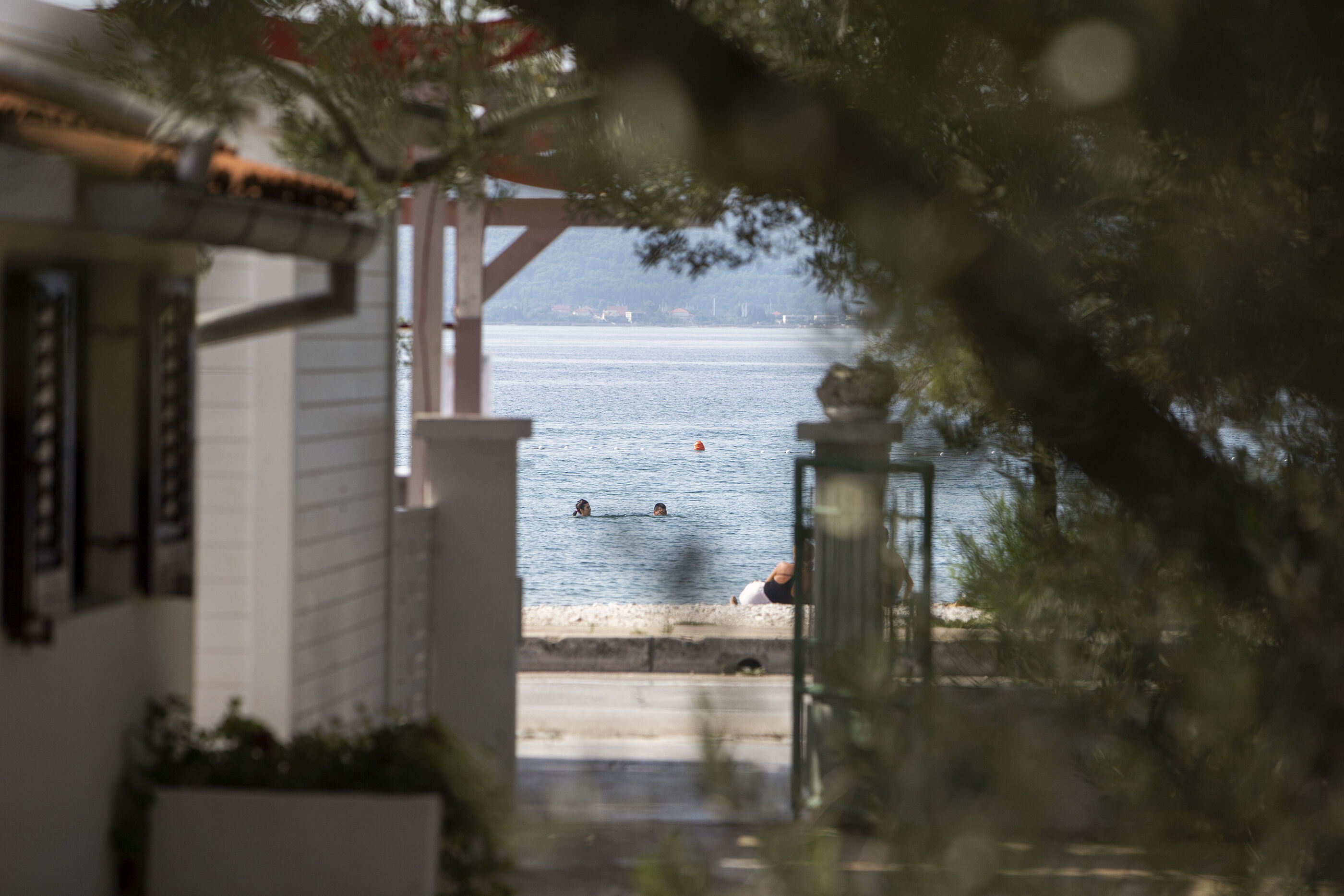 Apartment Maslina Accommodation in Zadar