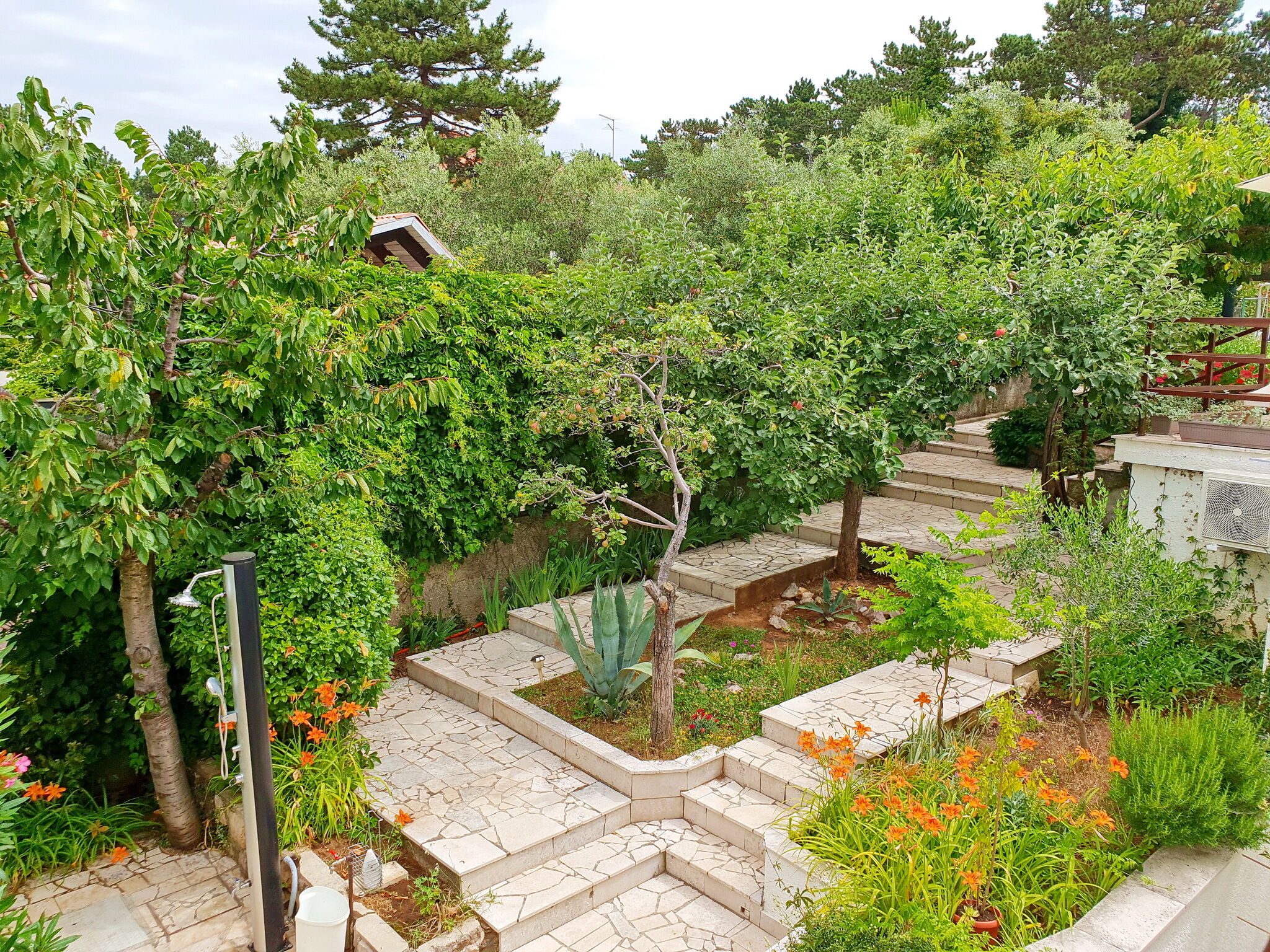 Apartment Devcic A1