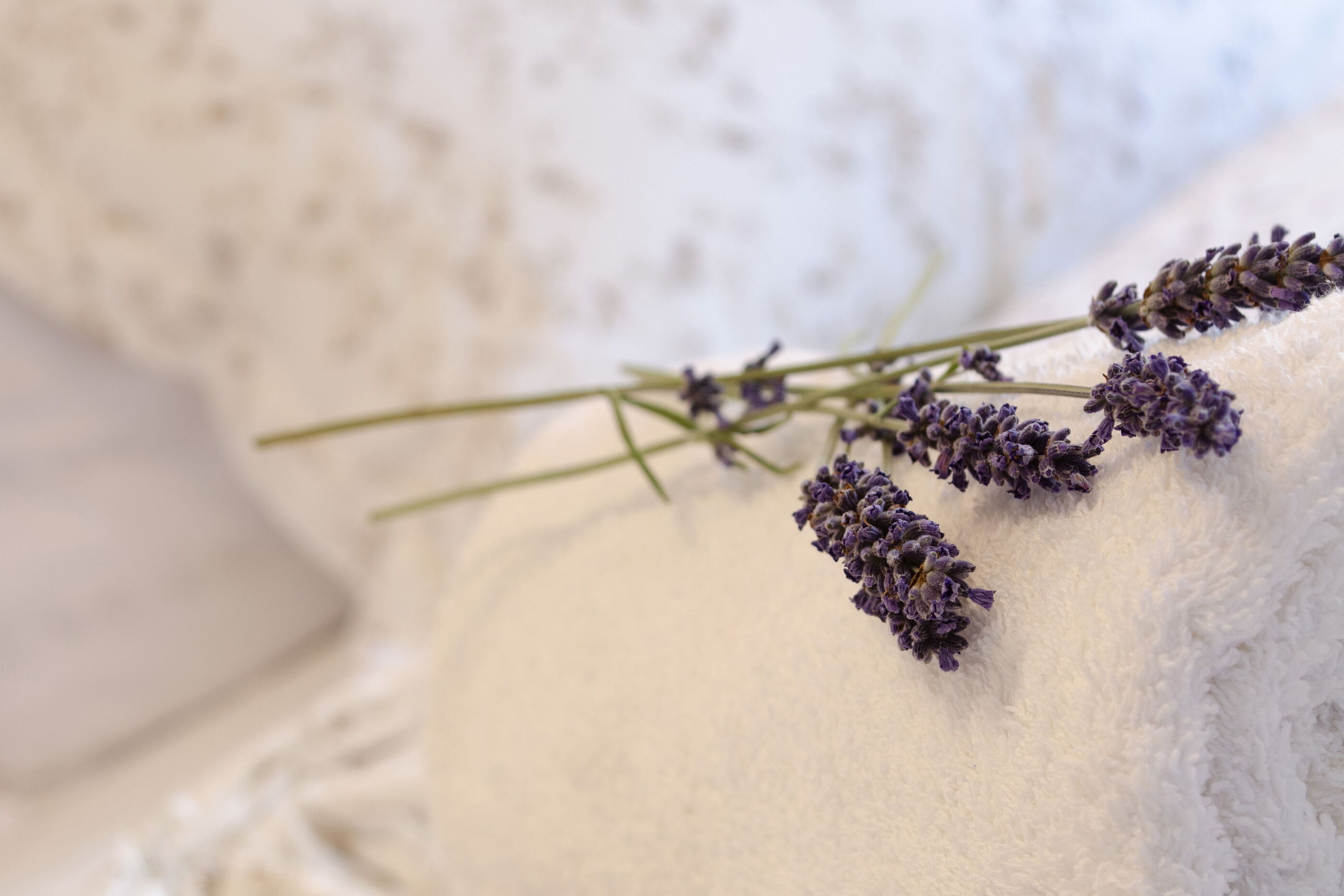 Kuća za odmor Deja Blue K1