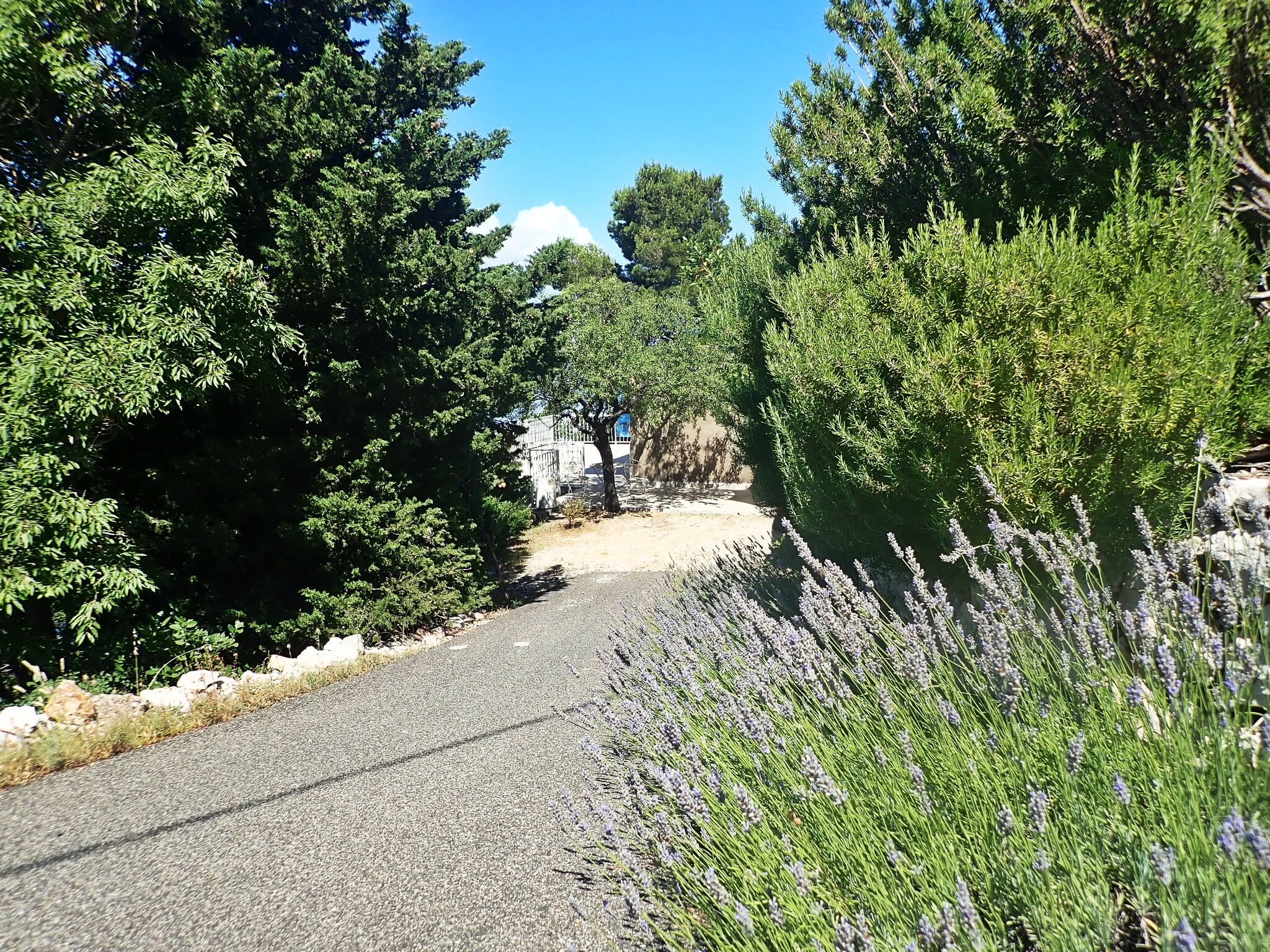 Apartment MARE 81613-A1