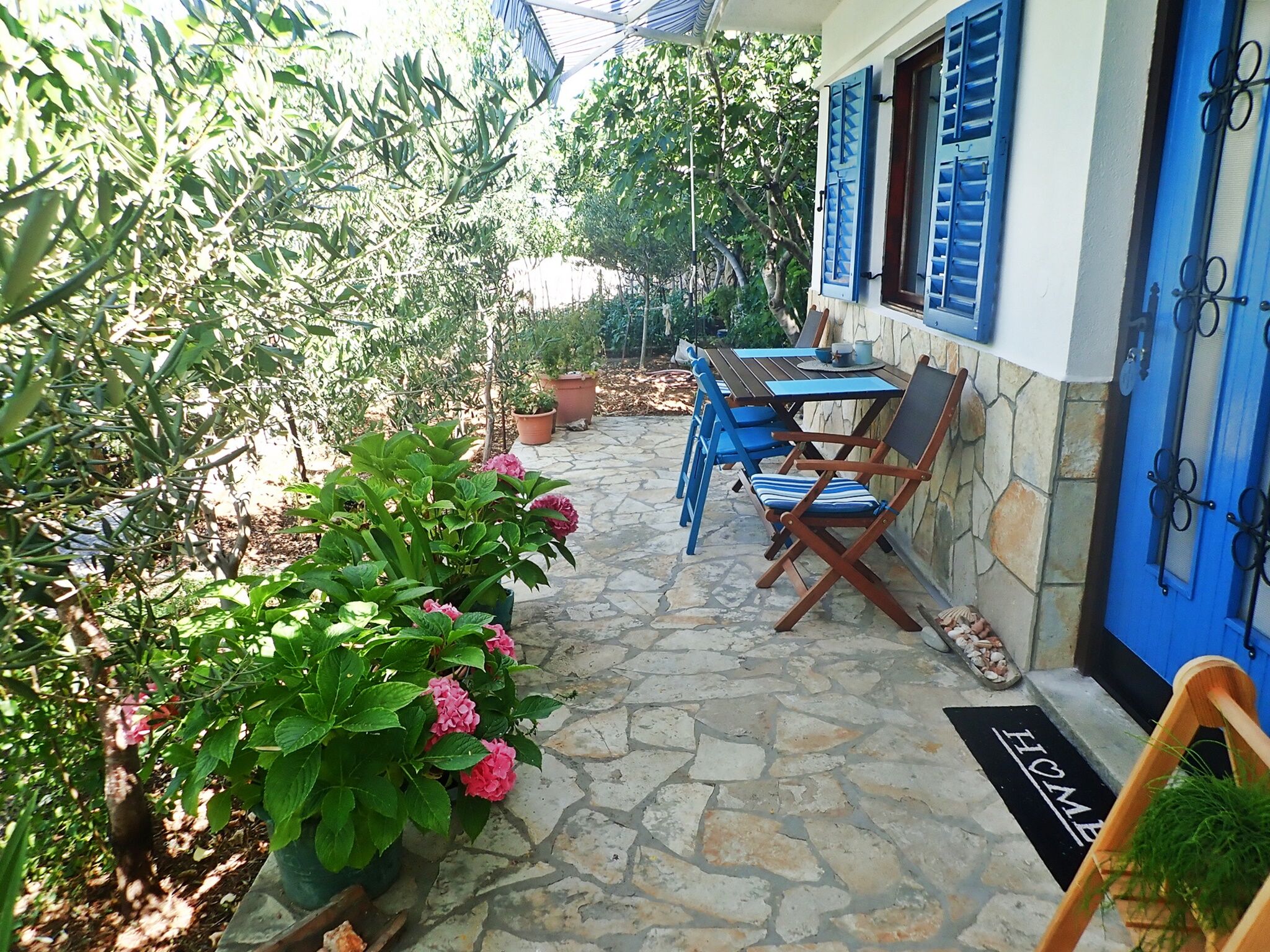 Apartment MARE 81613-A1