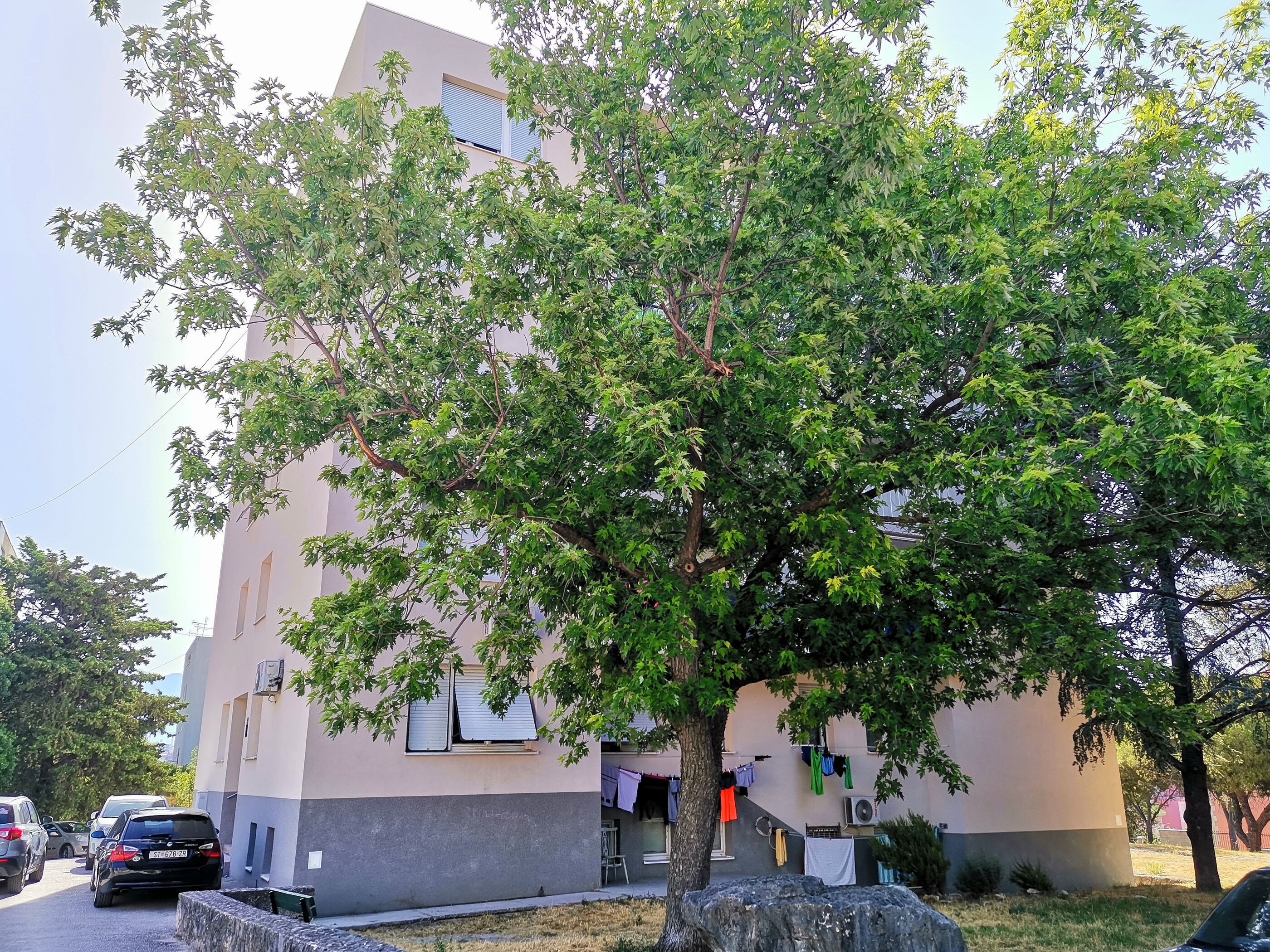 Apartment Ileora 54039-A1