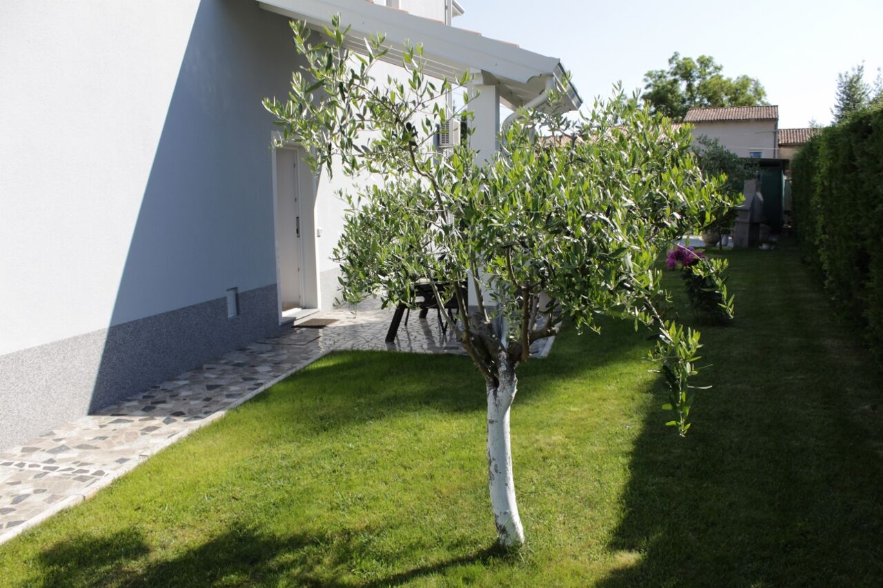 Apartments TITONEL 79159-A3