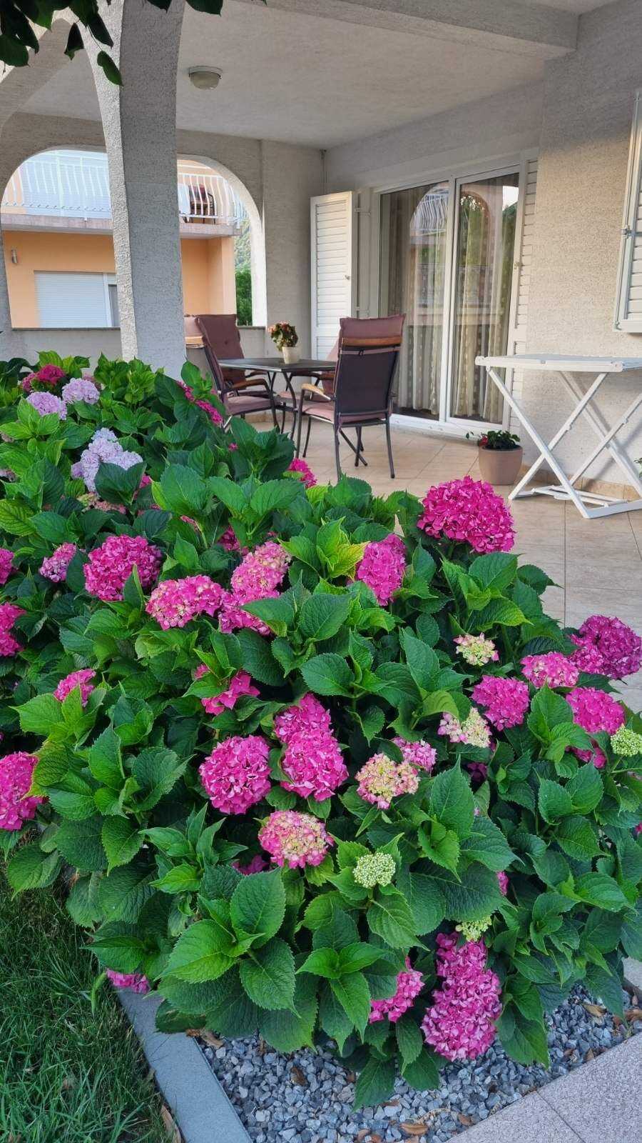 Apartment Ljiljana 85711-A1