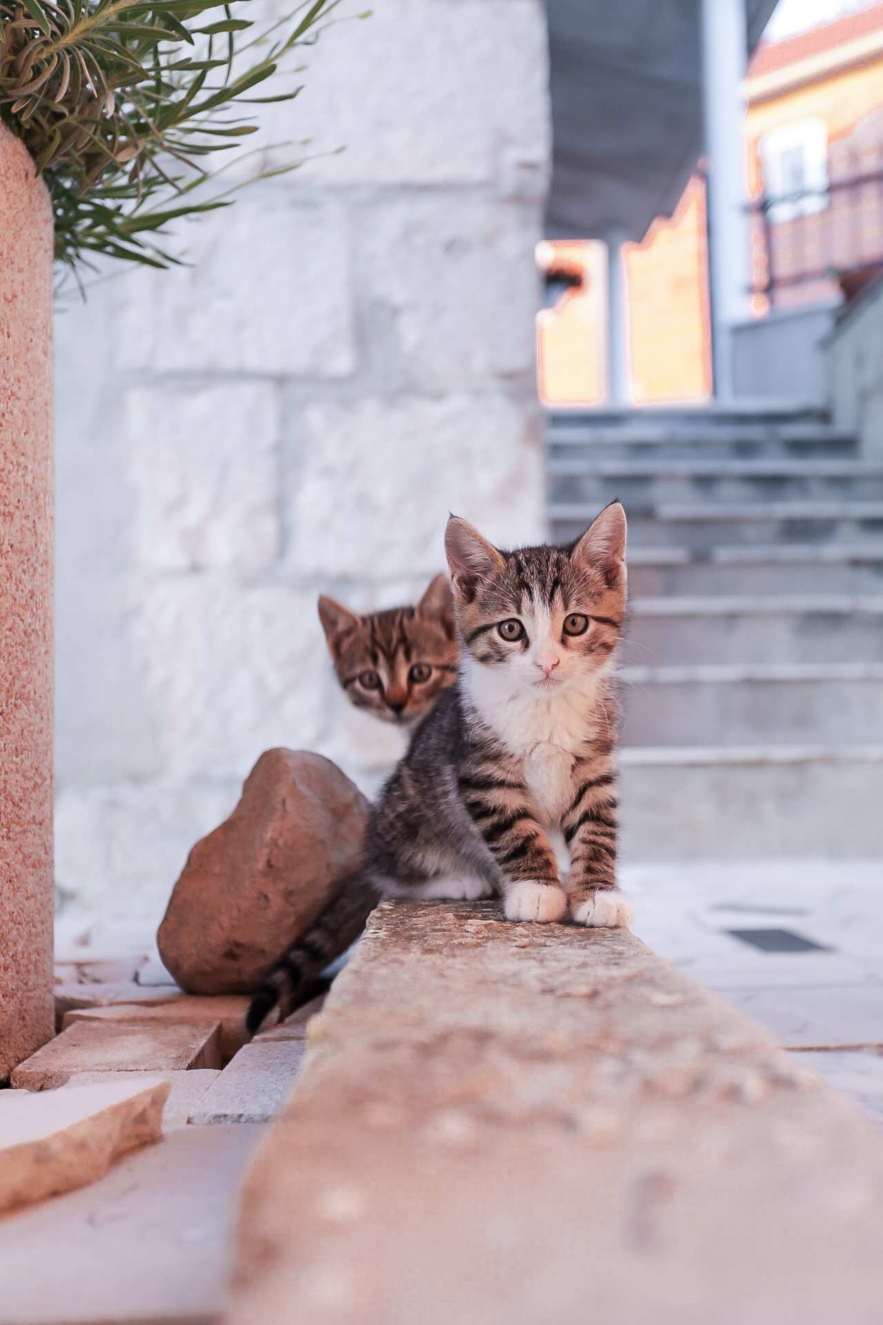 Photo of House Marinka