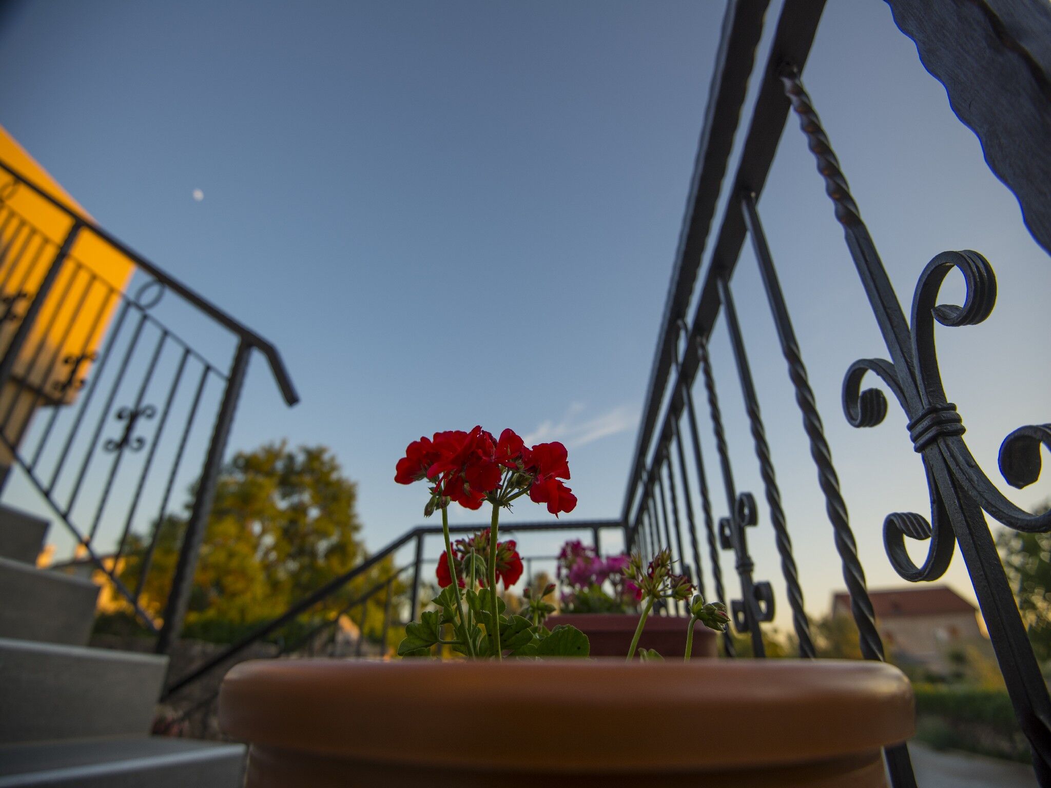 Apartments PUNTA-in the stone house 74004-A1