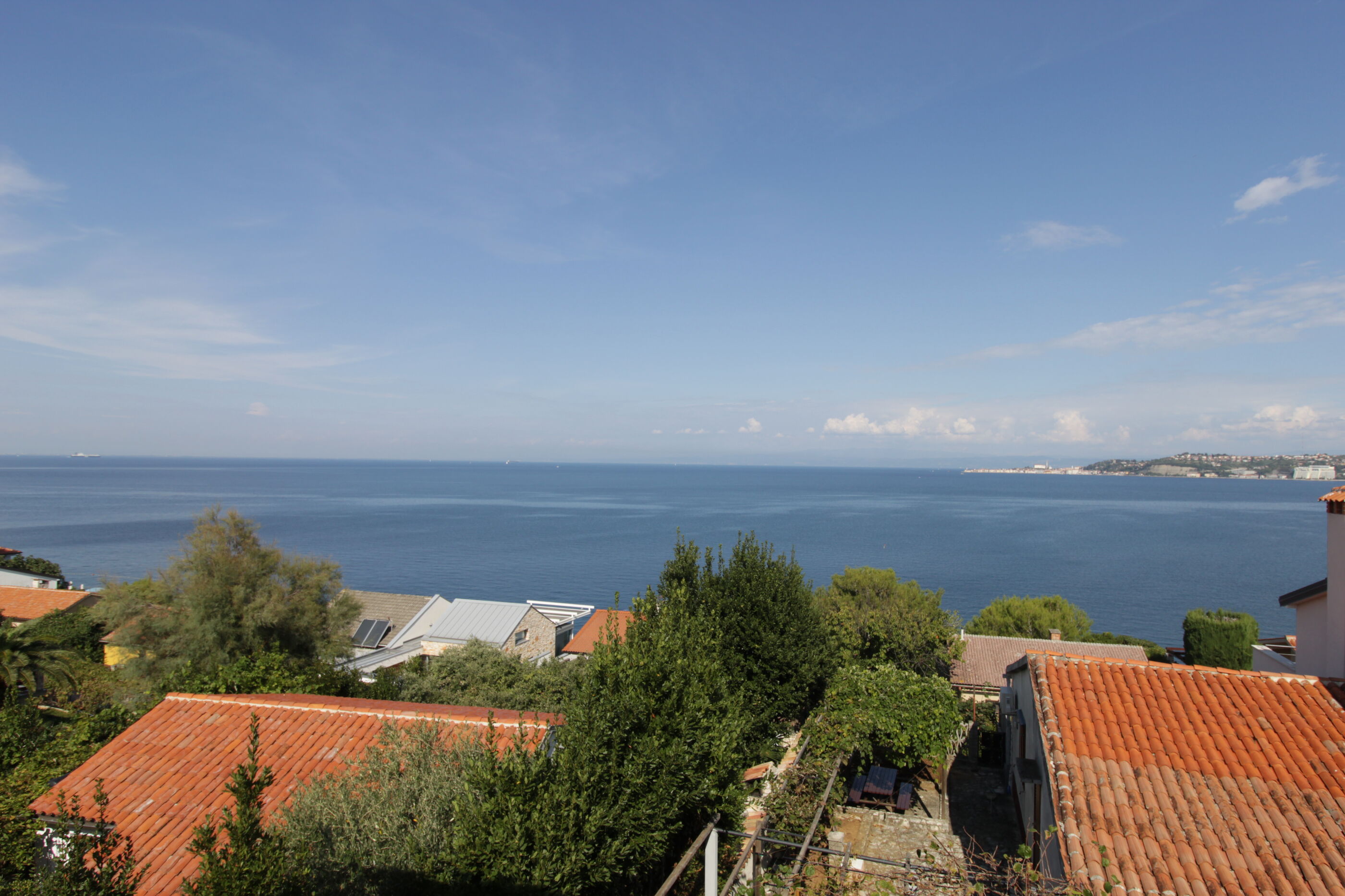 Apartment Zeljka 79311-A1