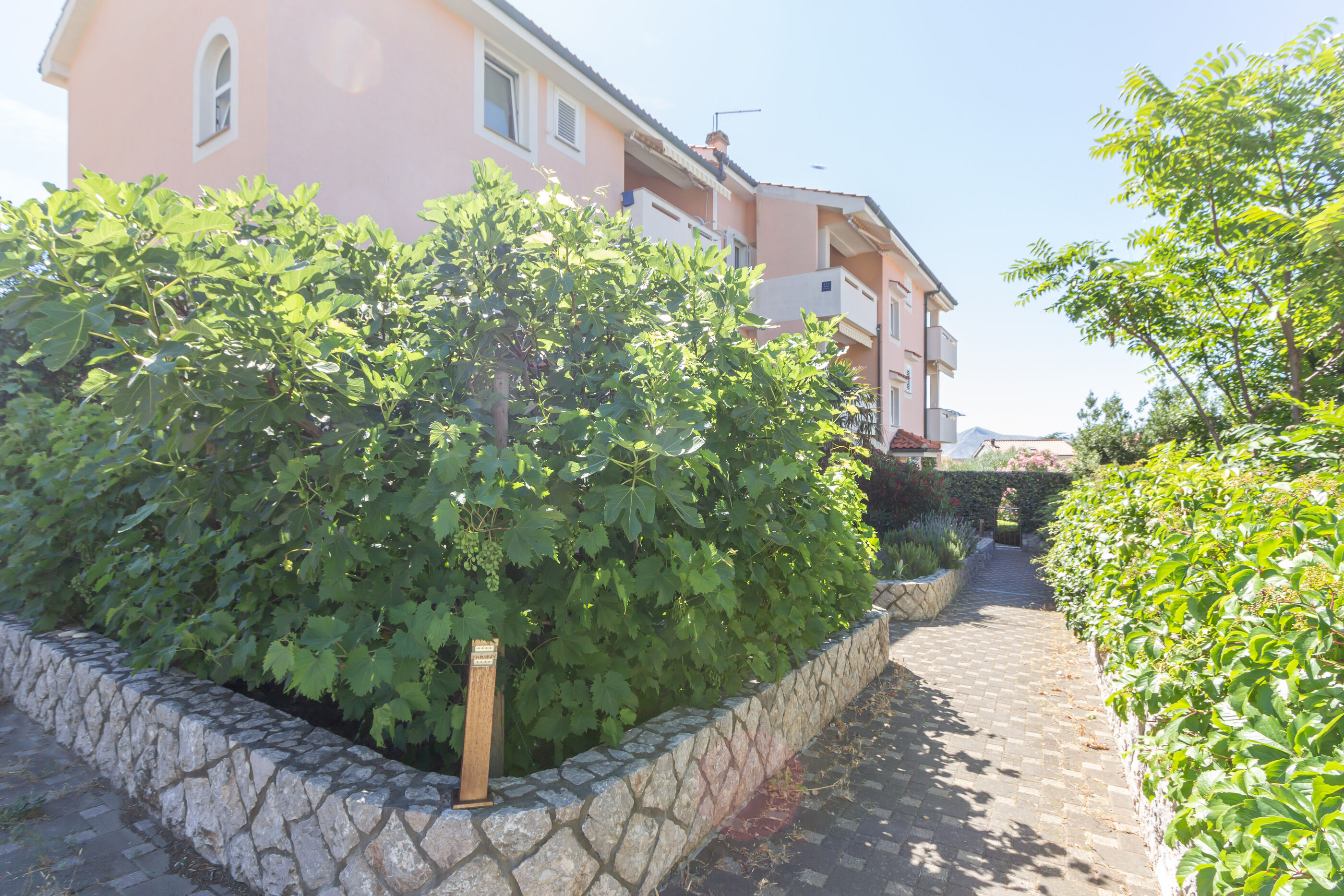 Apartments Ema i Mislav 79634-A1