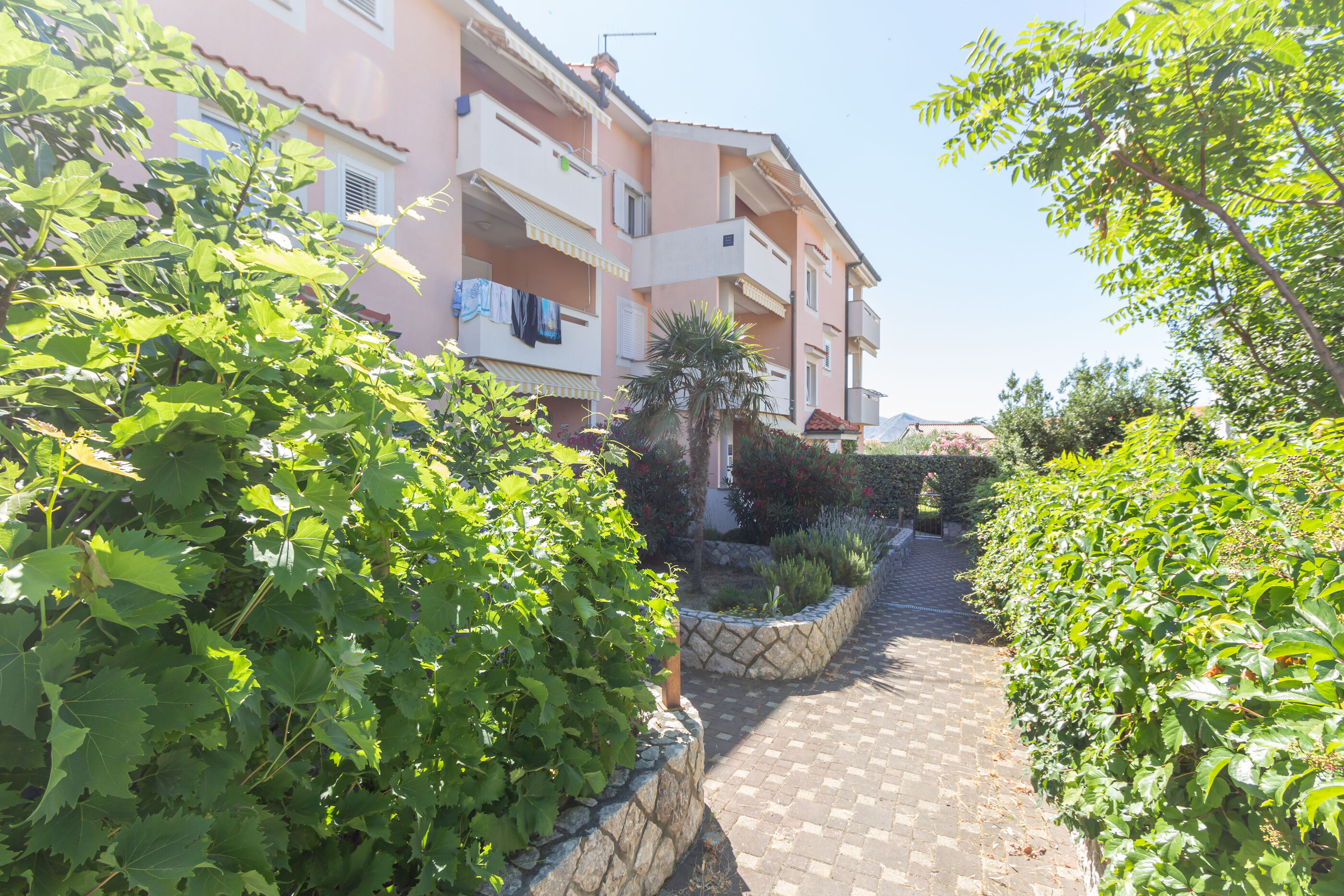 Apartments Ema i Mislav 79634-A1