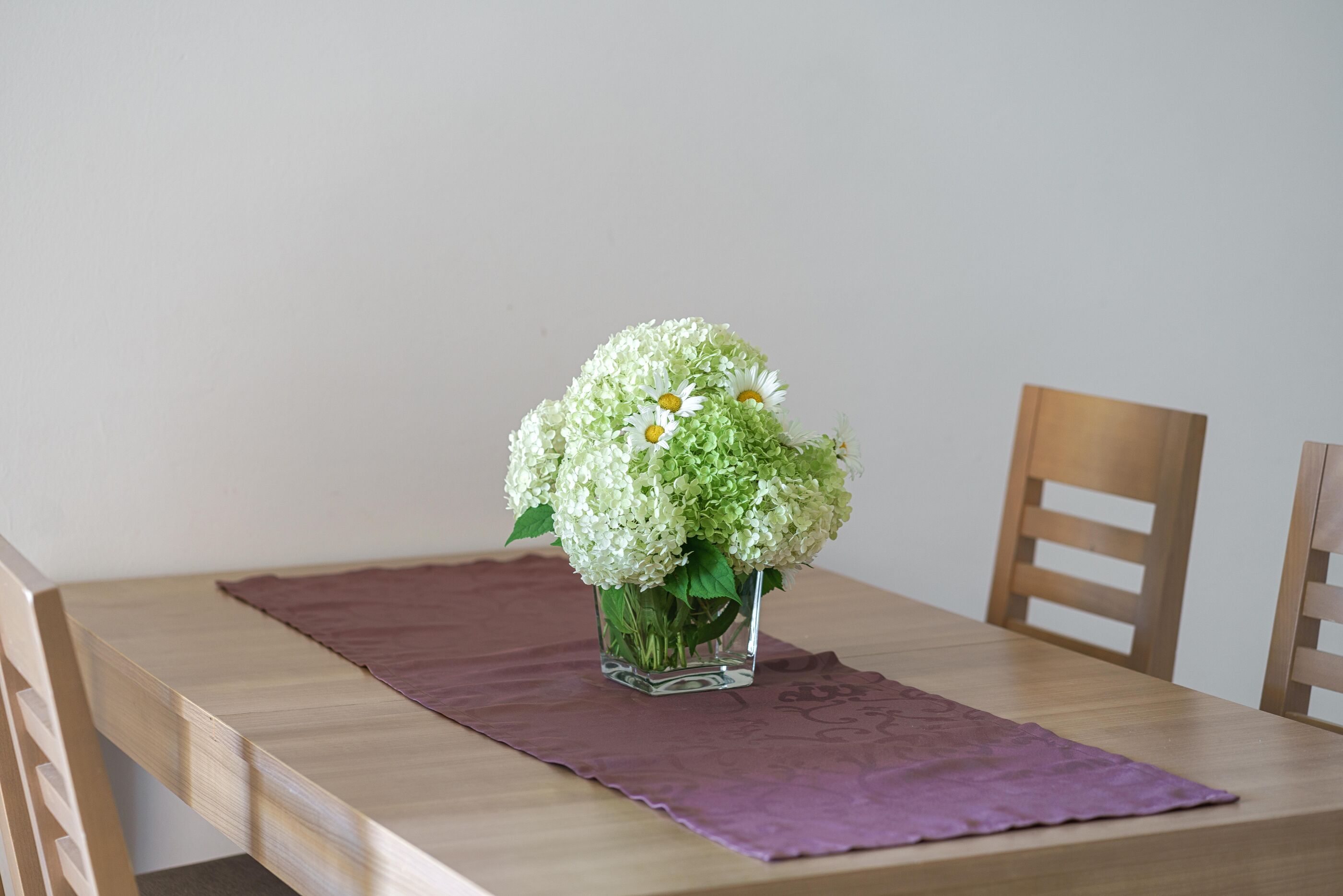 Apartments Nostro Palazzo 79421-A5