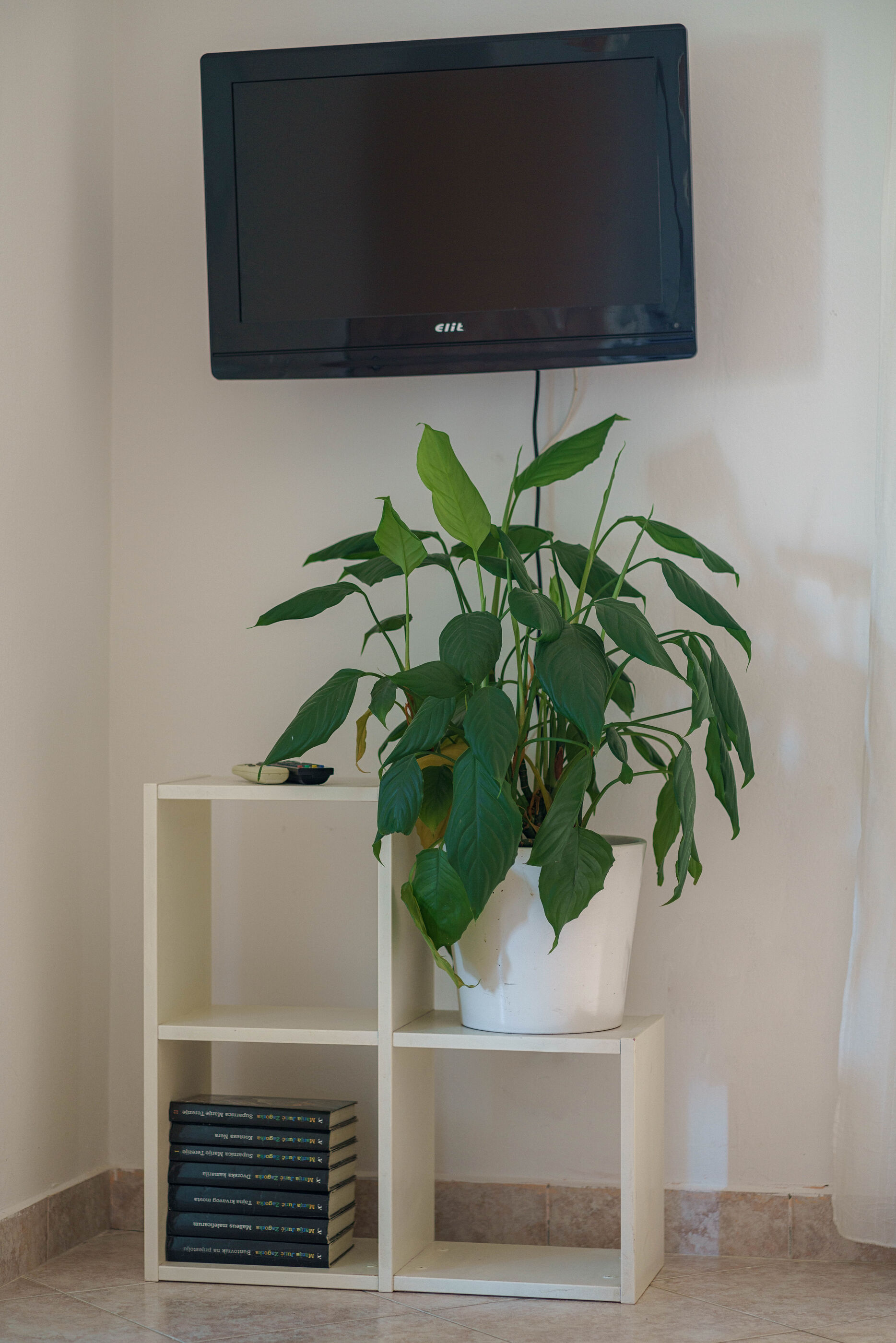 Apartments Nostro Palazzo 79421-A5